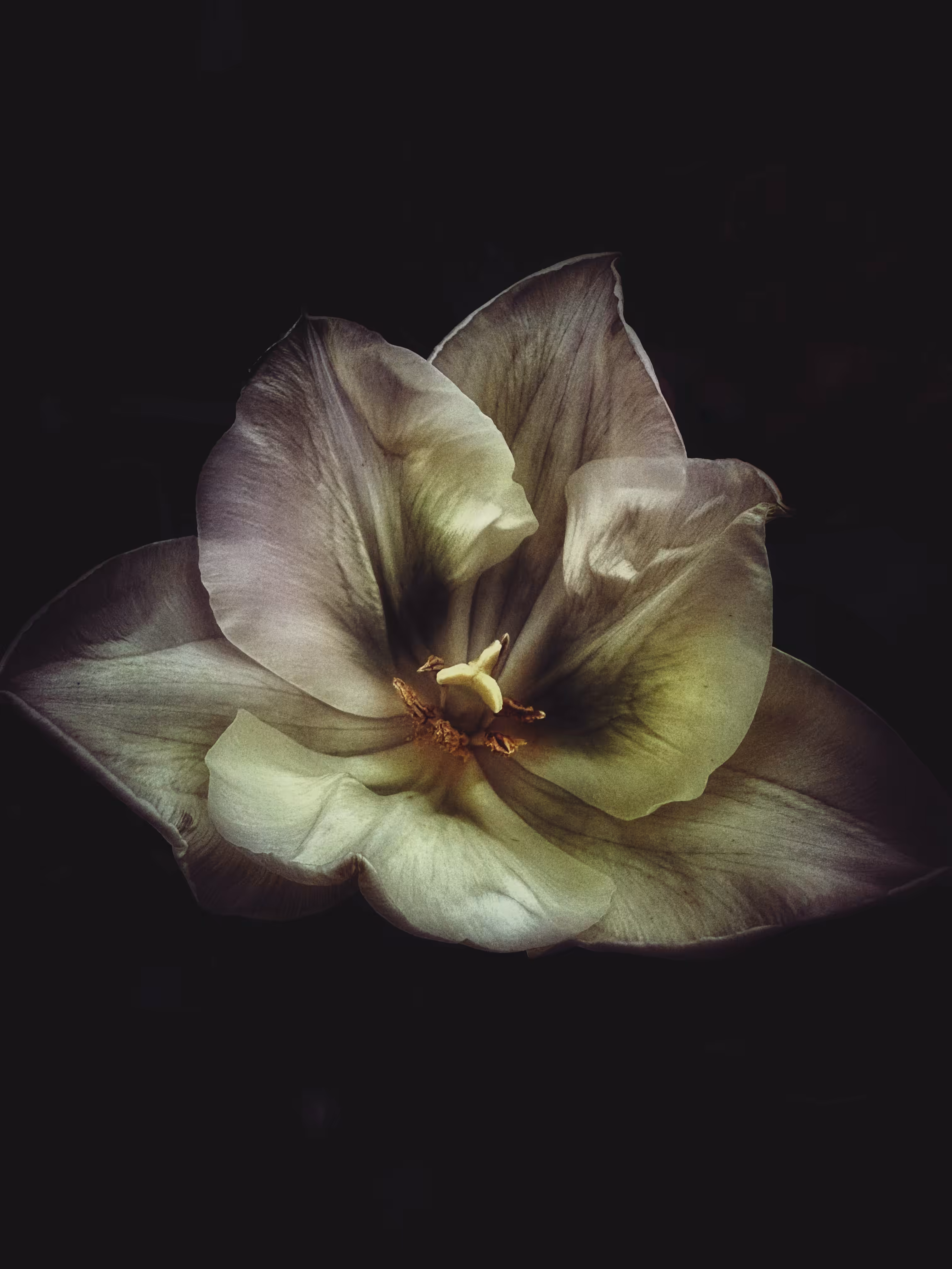 About the Light