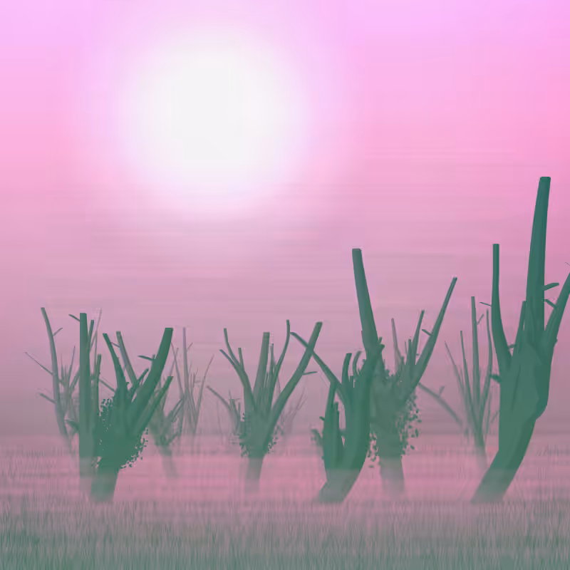 Morning Frost #14