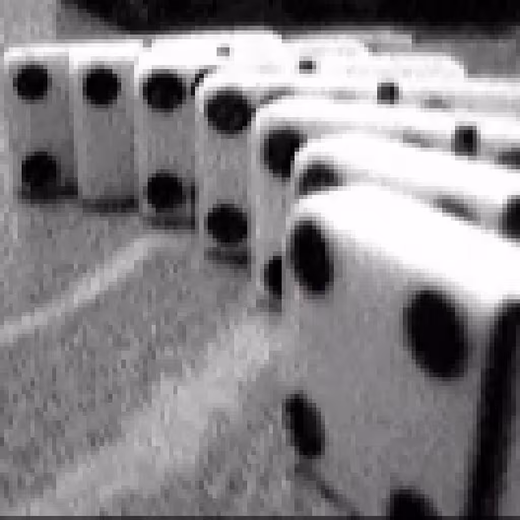 Dominoes #5