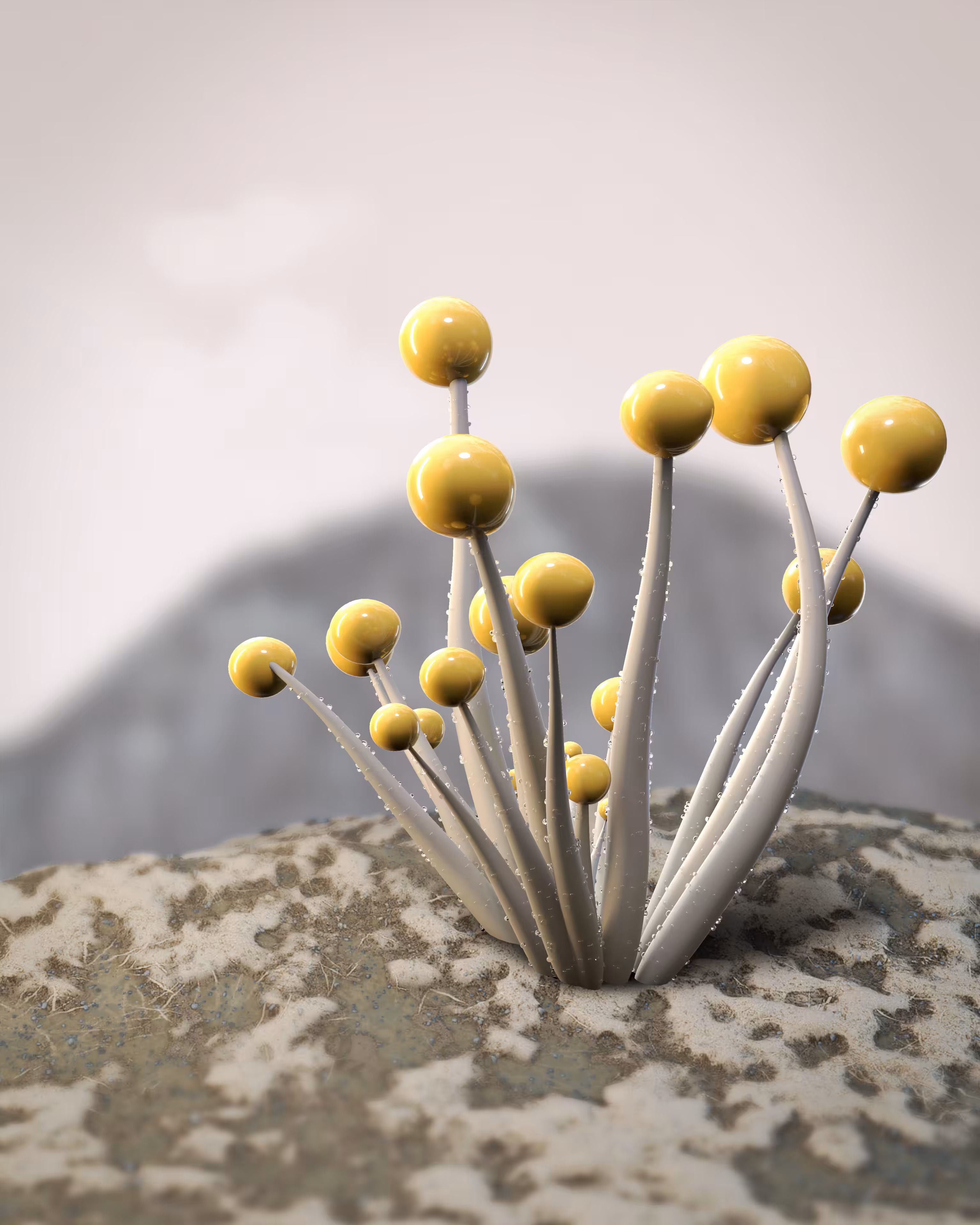 Strange Fruit #018