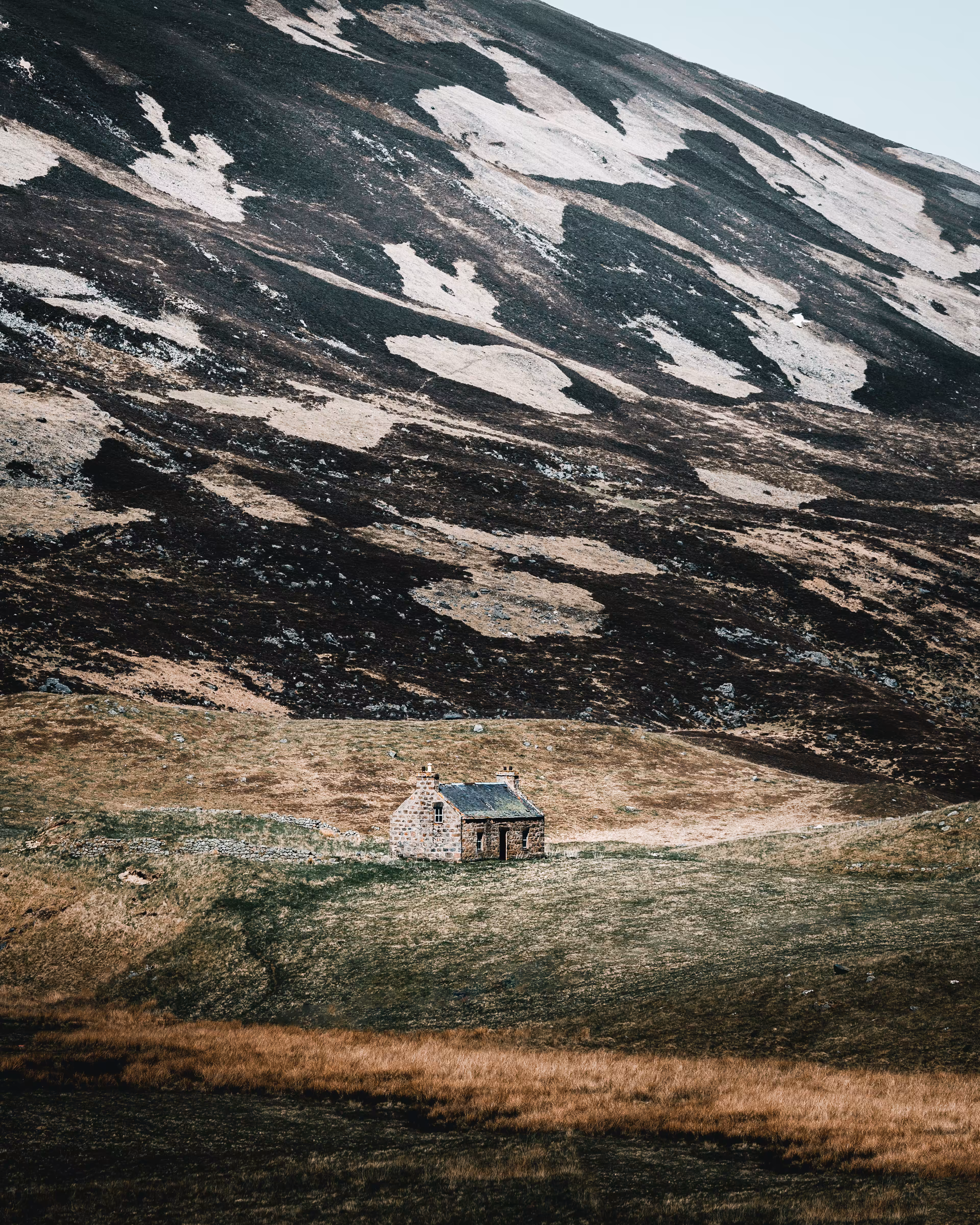 Shelter #10 - Patterns