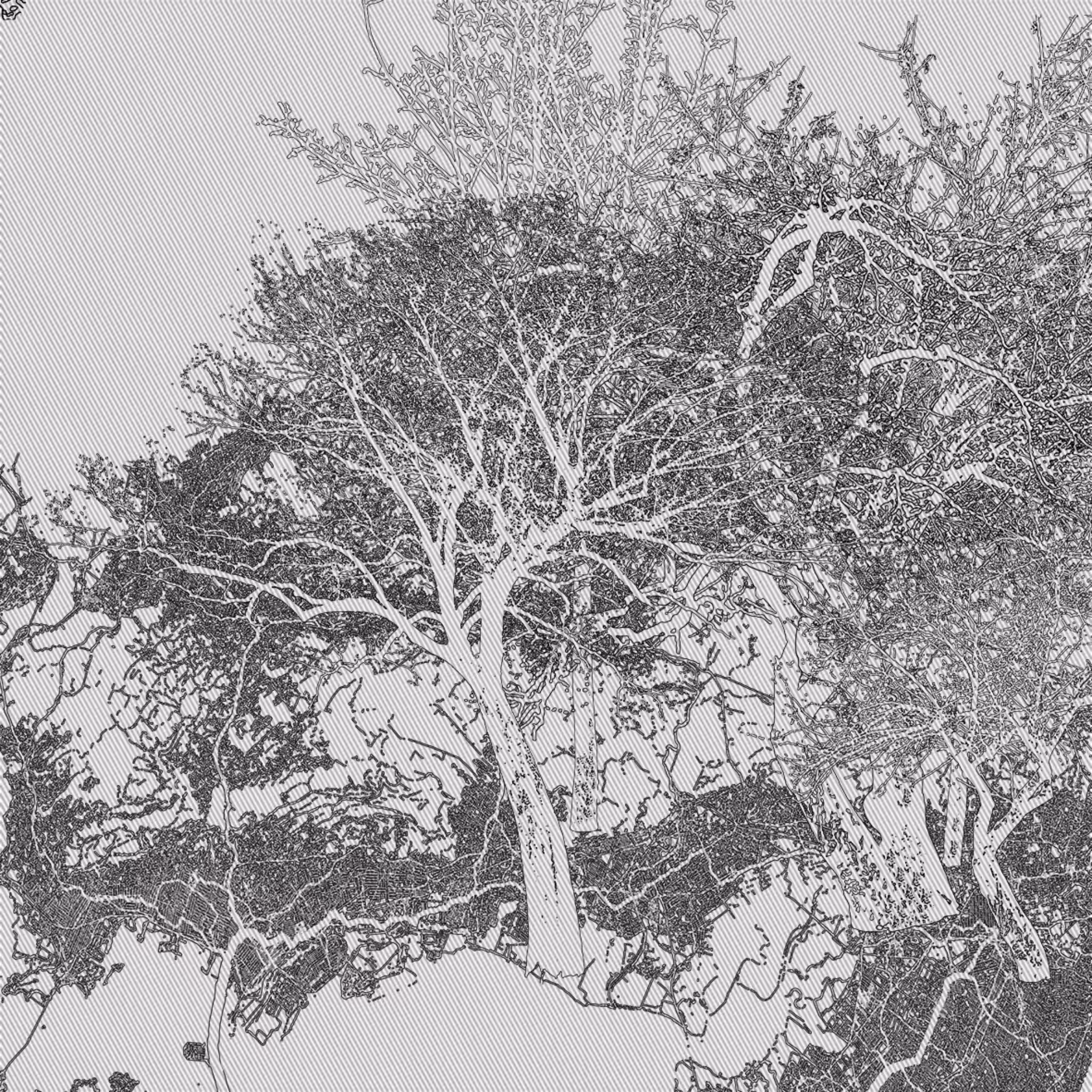 The Forest #21