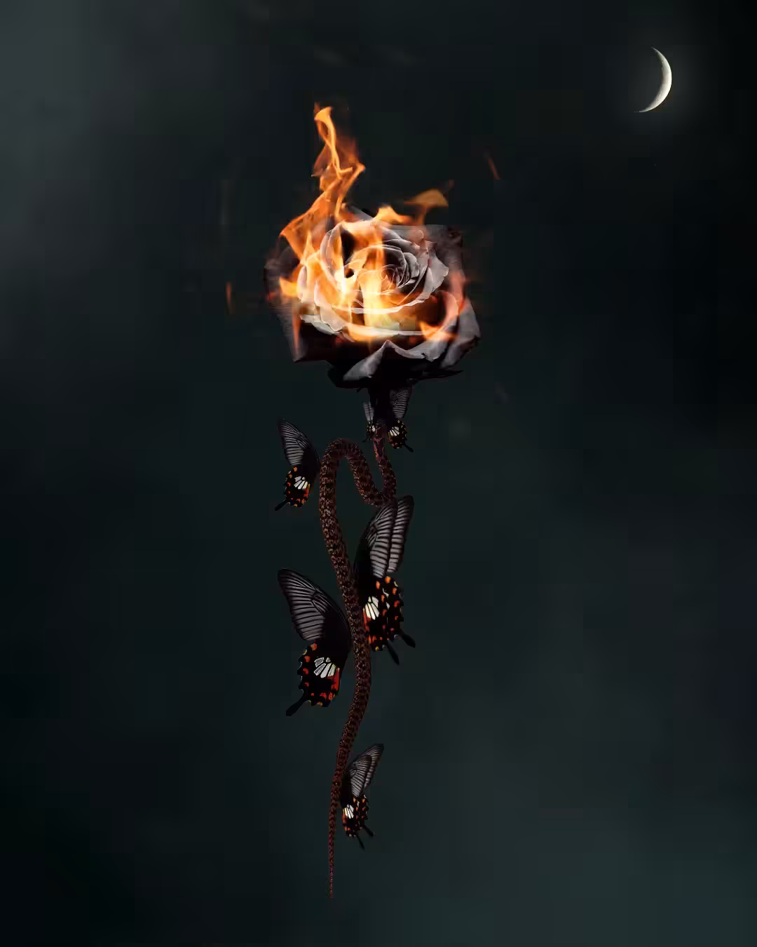 Rebirth I