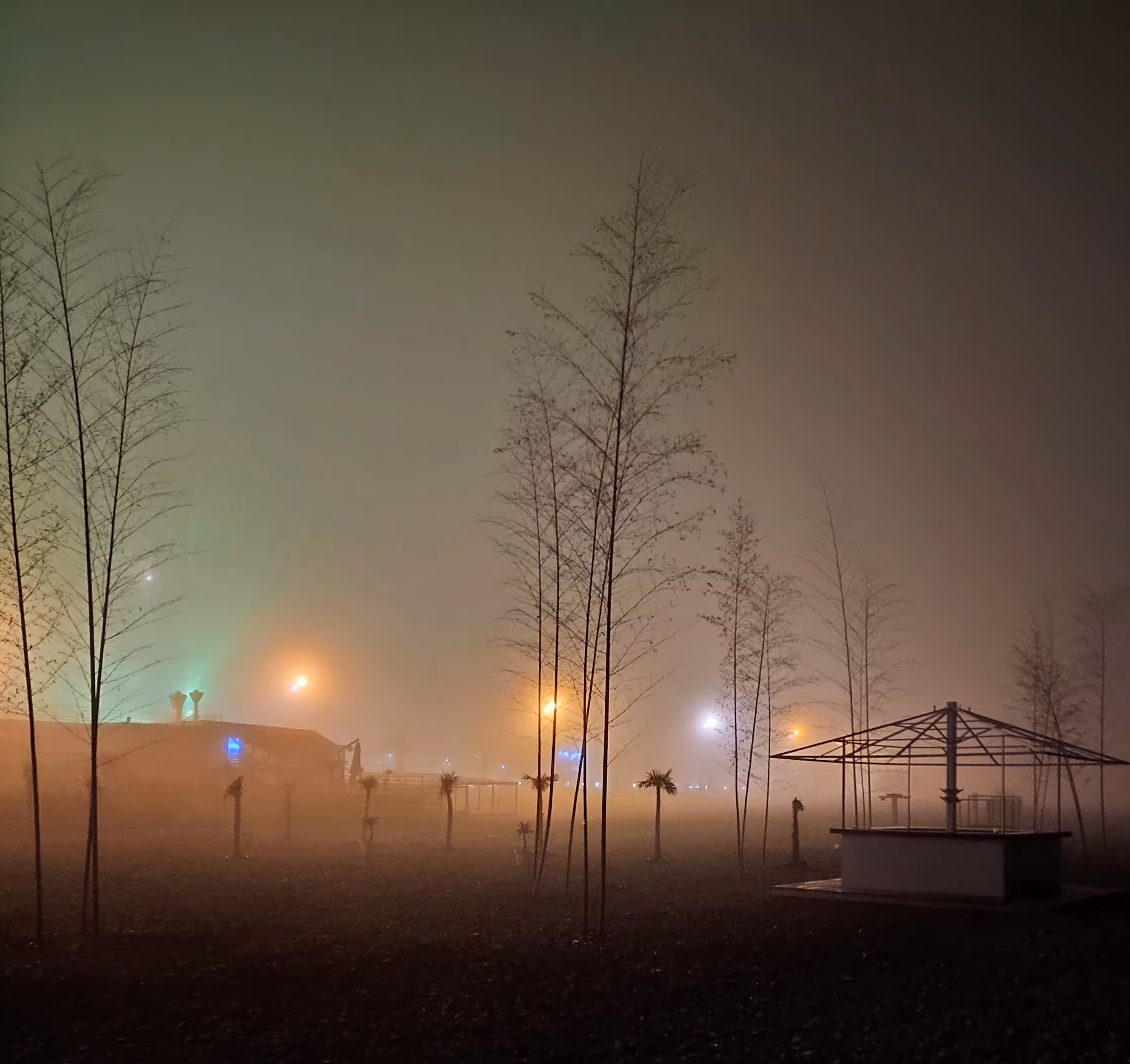 Foggy night