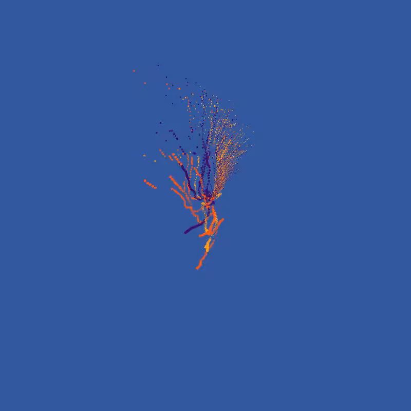 pollocian fibs #2