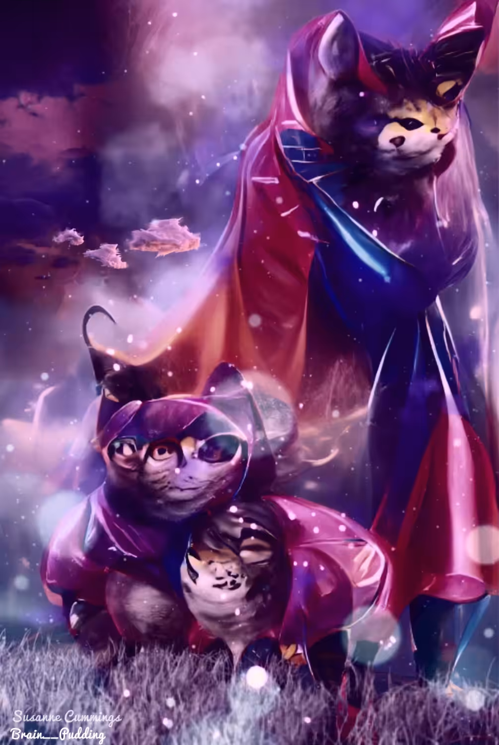 Super-Duper Hero Kitties