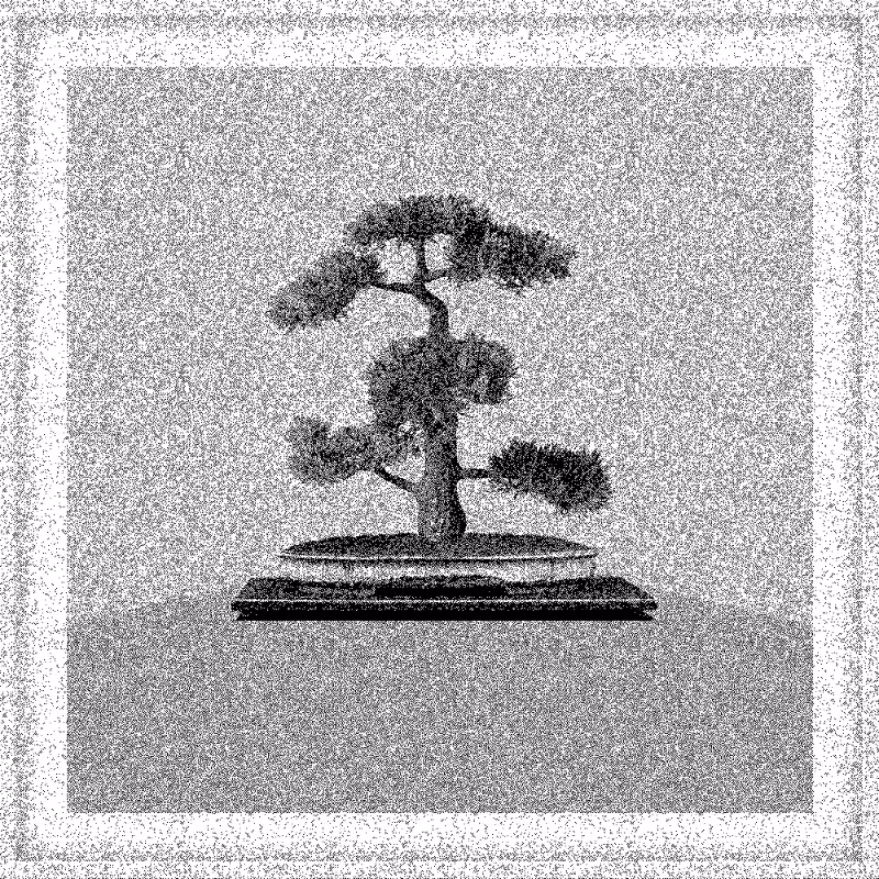 Bonsai Bonanza #790