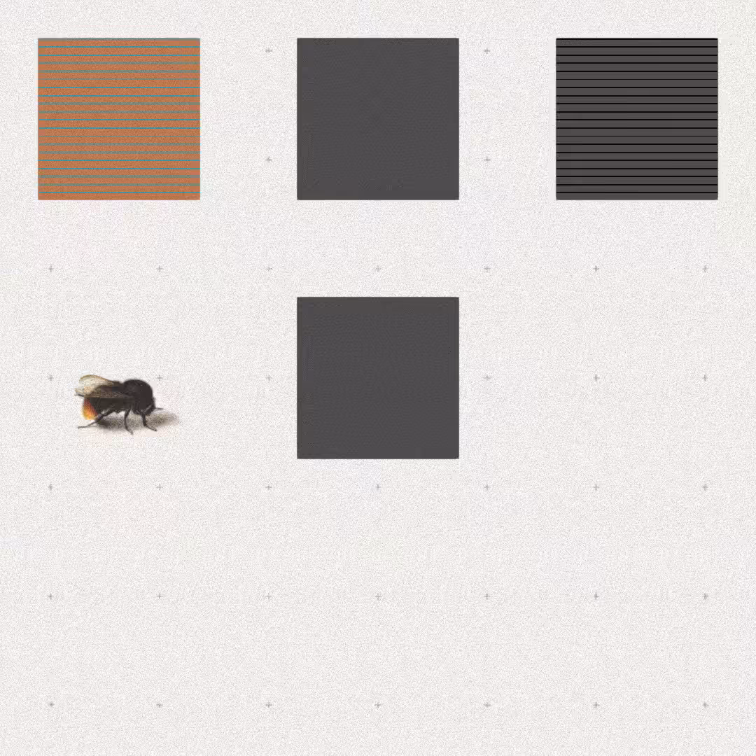 Bee #77