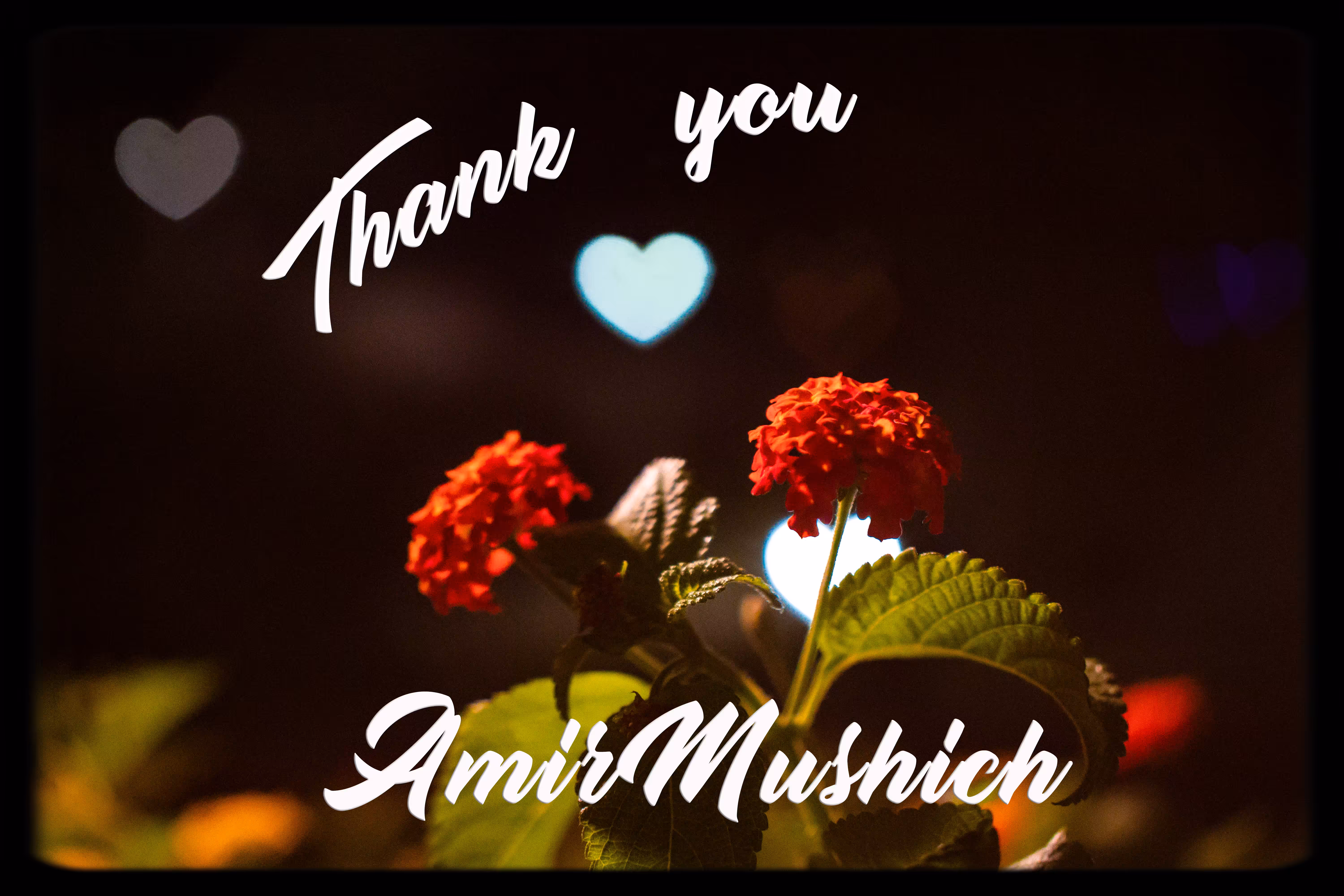 Thank You AmirMushich