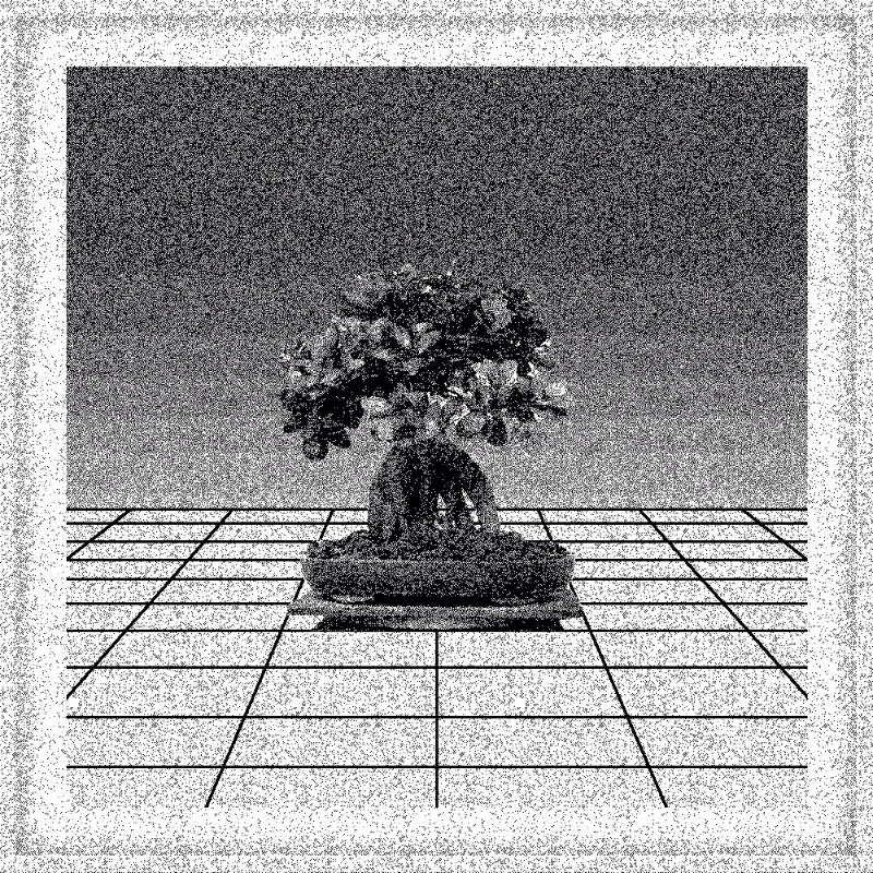 Bonsai Bonanza #309