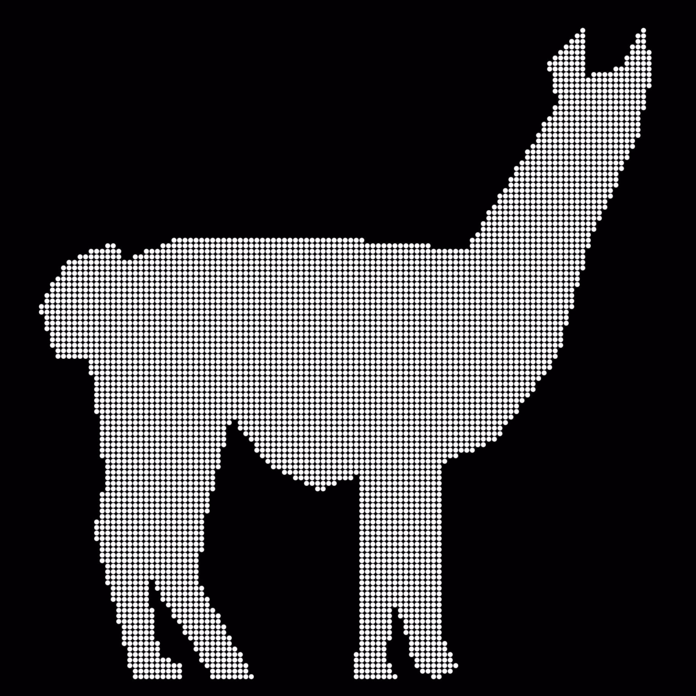 Caltech Studies (Braille): Llama 29