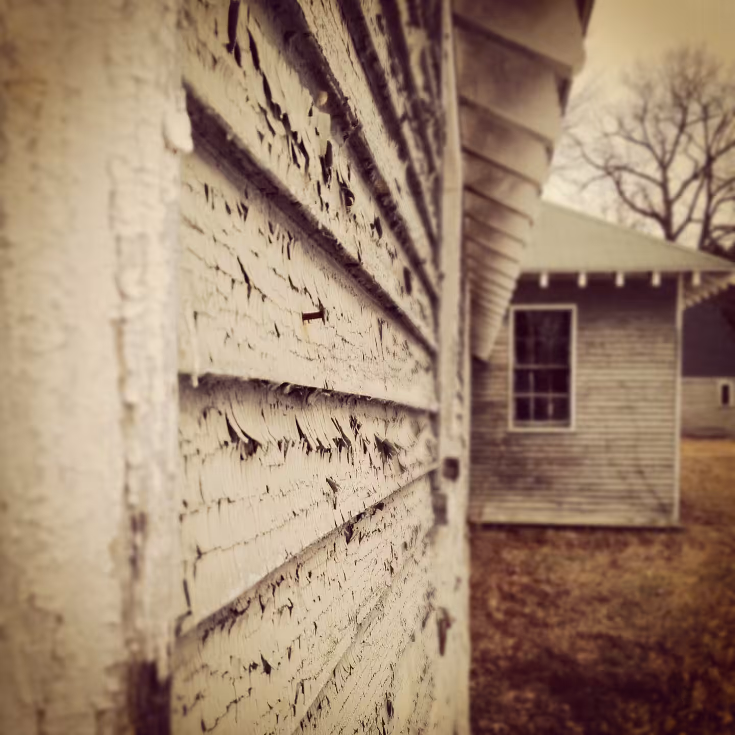 Barns