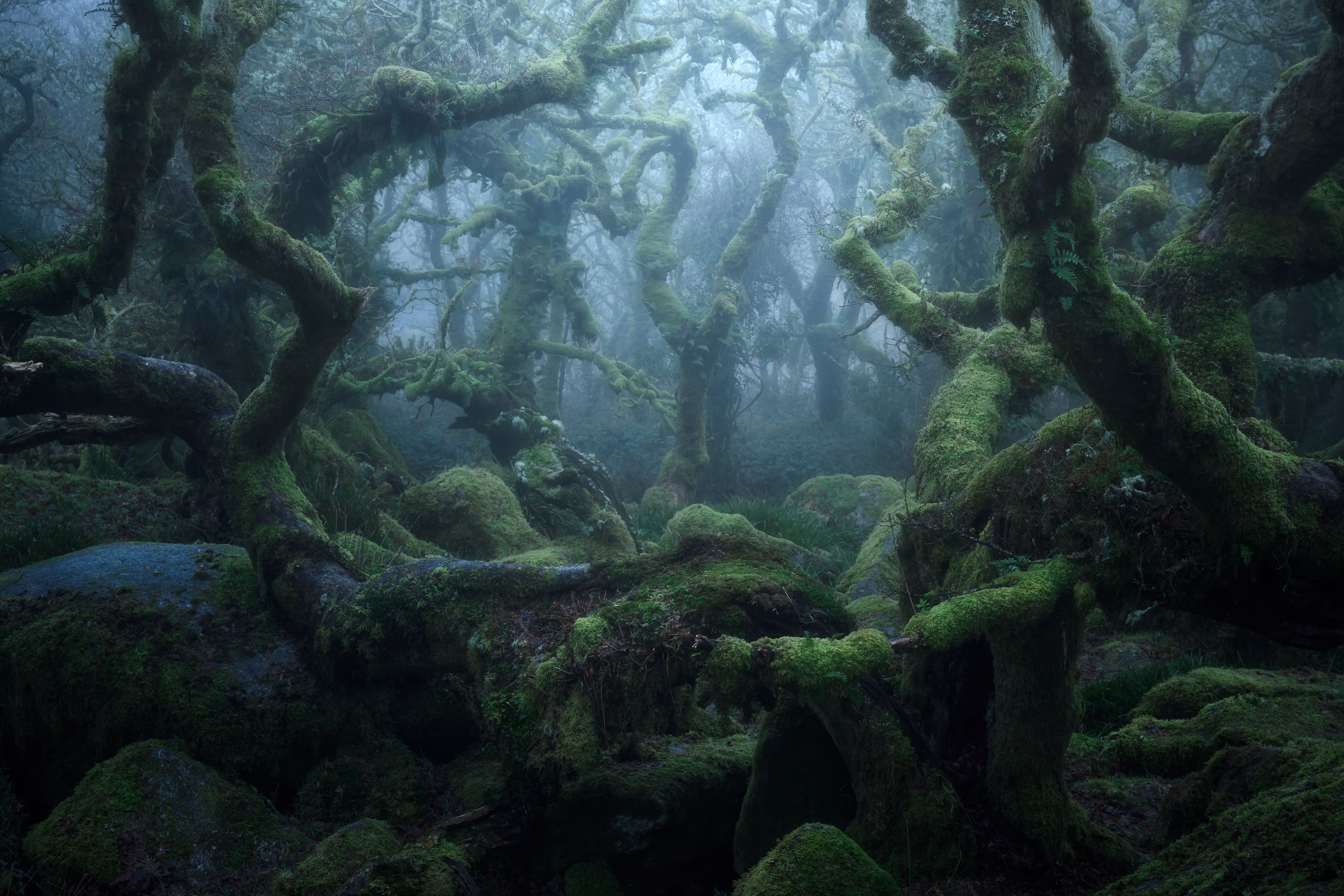 Labyrinth