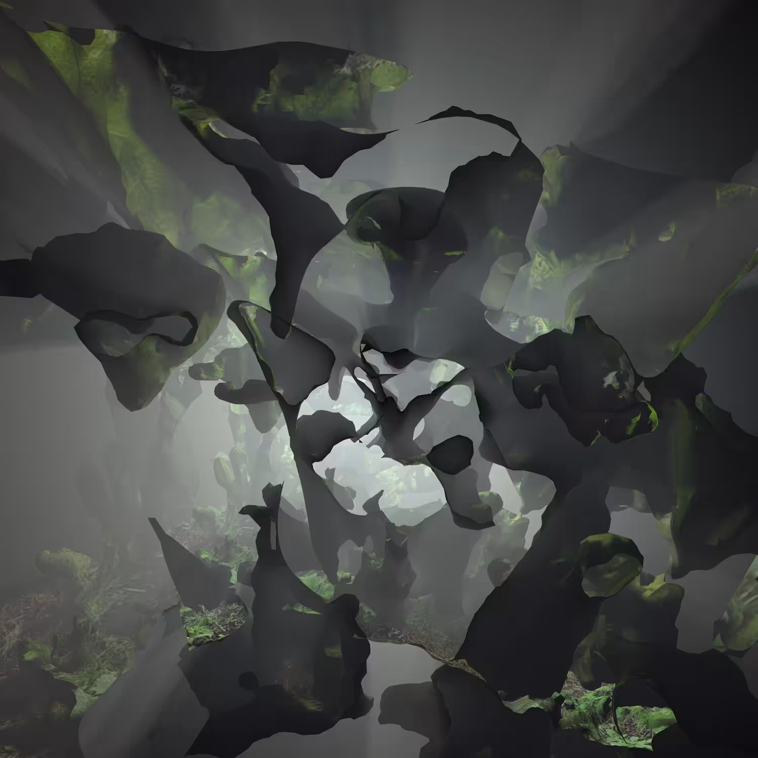 BLOOMCORE #17