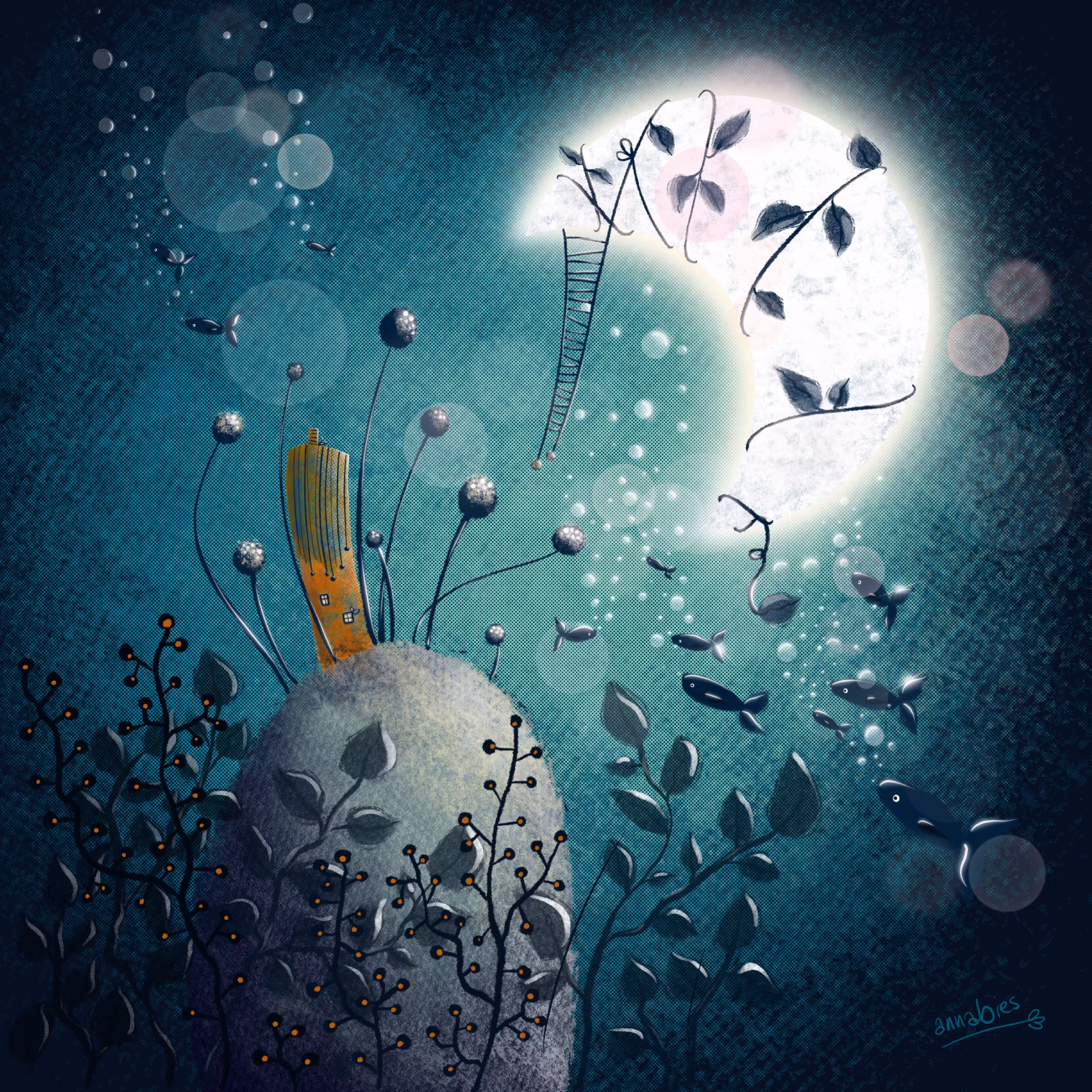 Moonlight