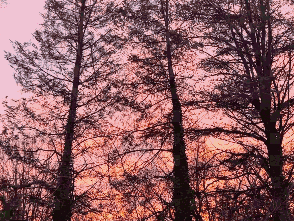 Season of the Witch — Equinox