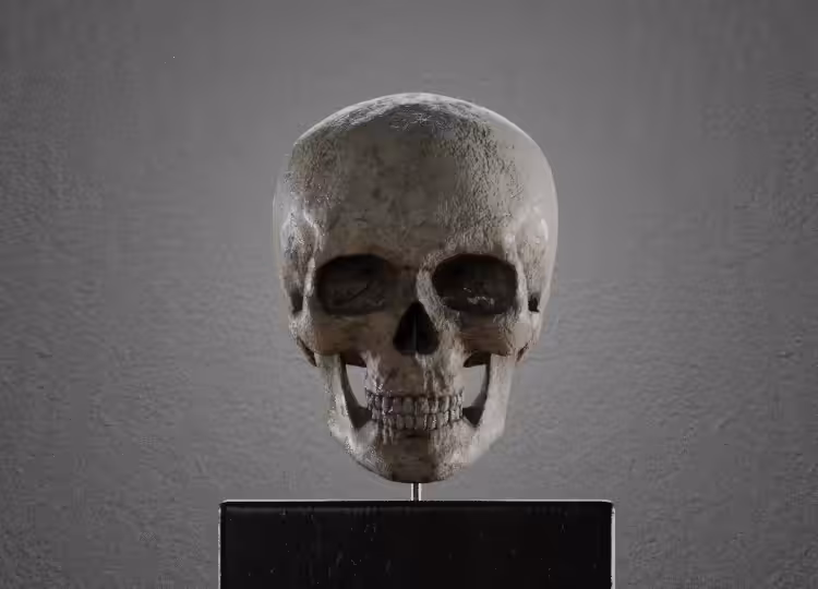Rotating Skull MMXXI