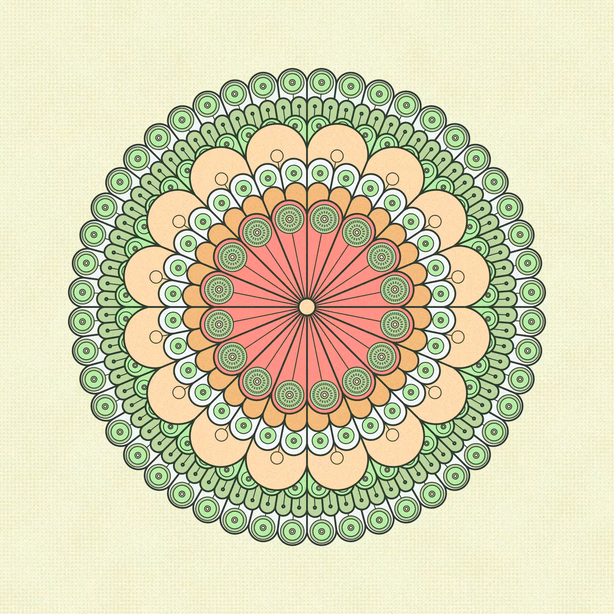 metamorph. #19