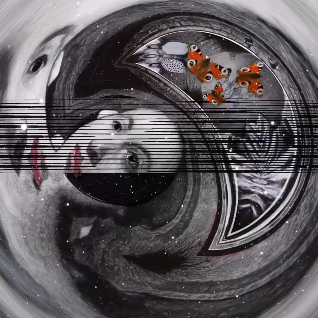 The Waking Universe