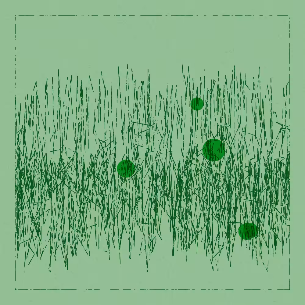 scratches & circles #112