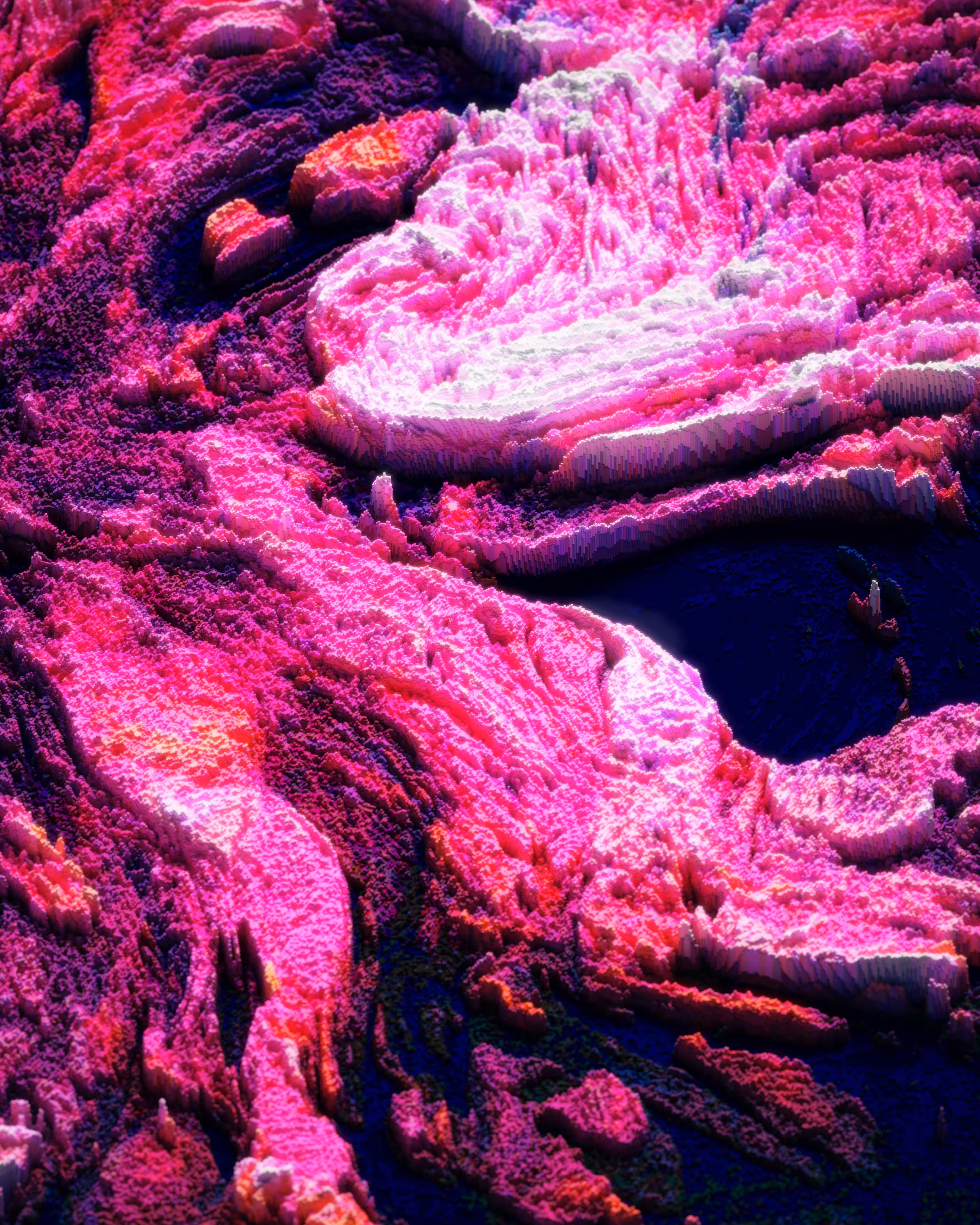 Voxel Vision: Musa