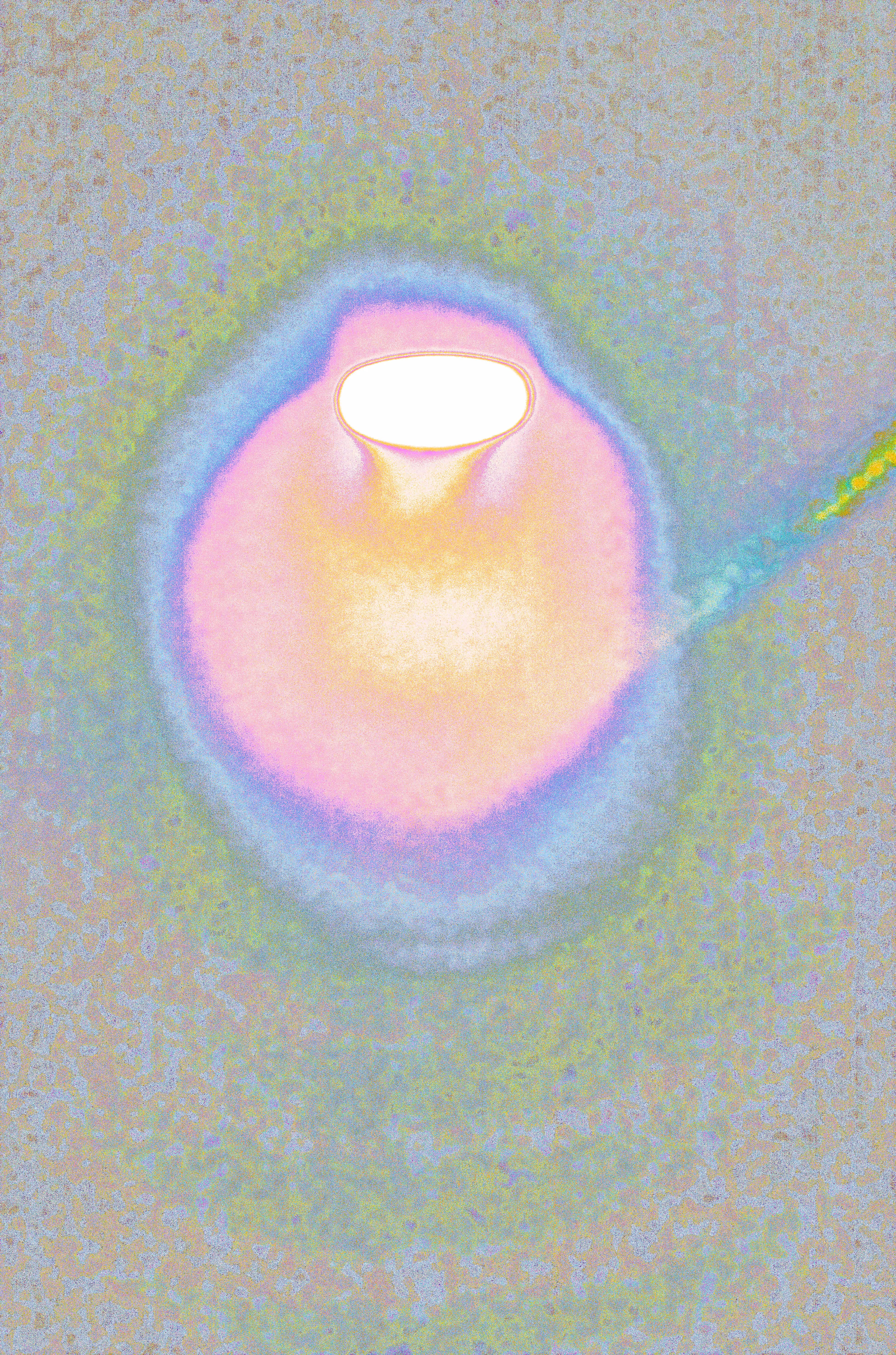LUX 137