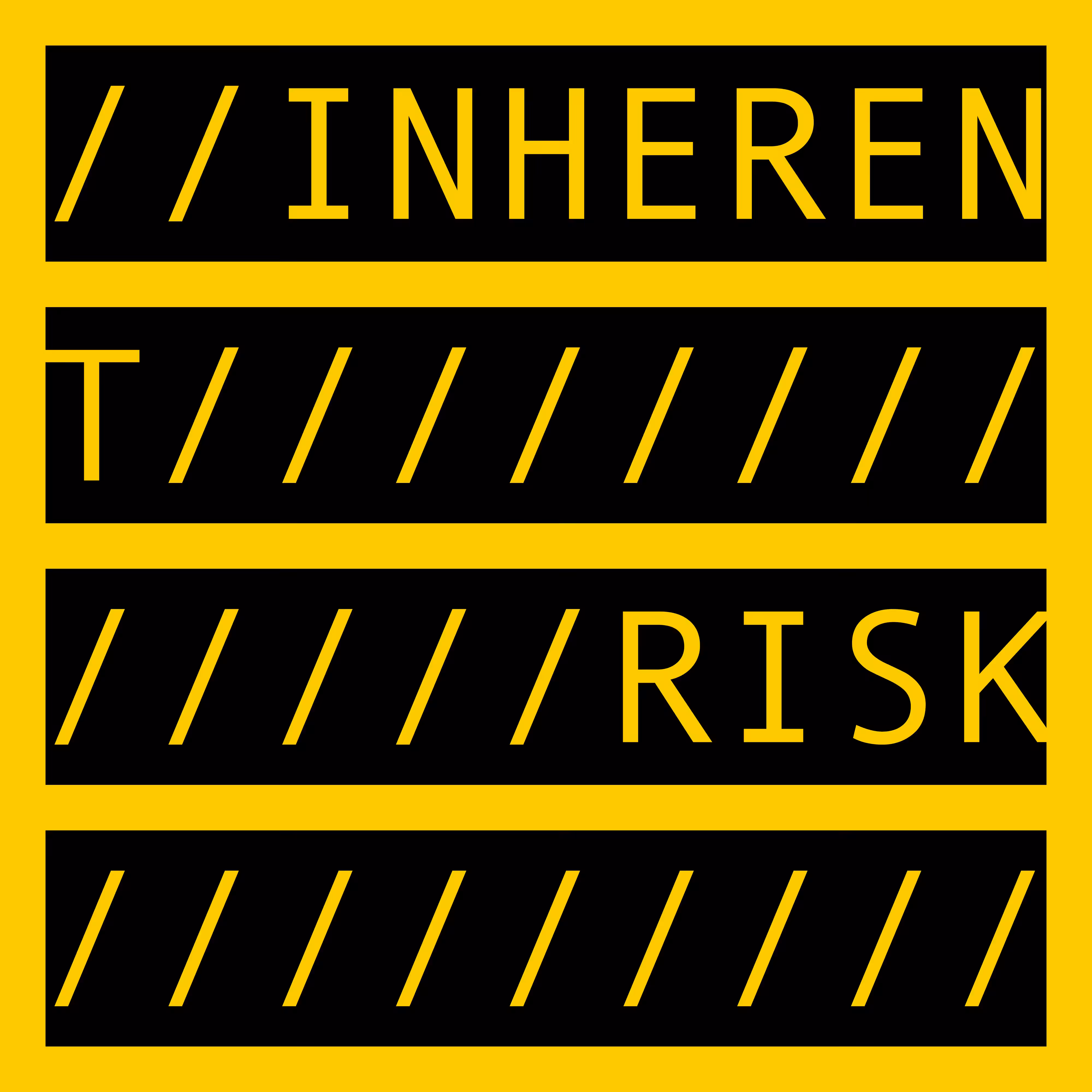 COMMENT OUT: INHERENT RISK