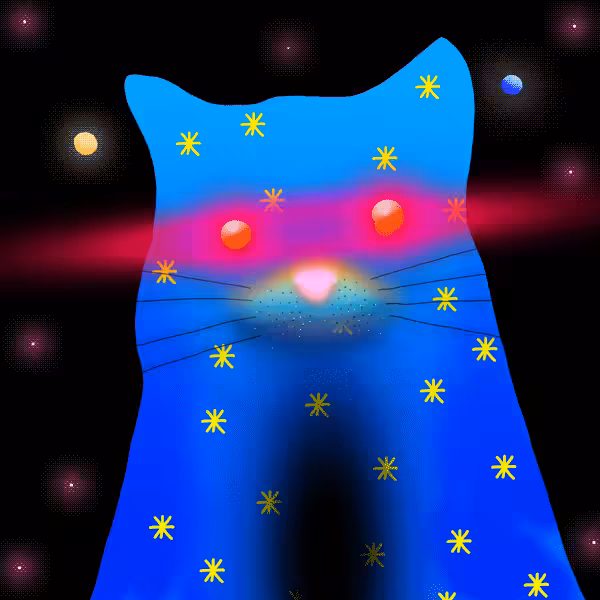 Quantum Cats #2013