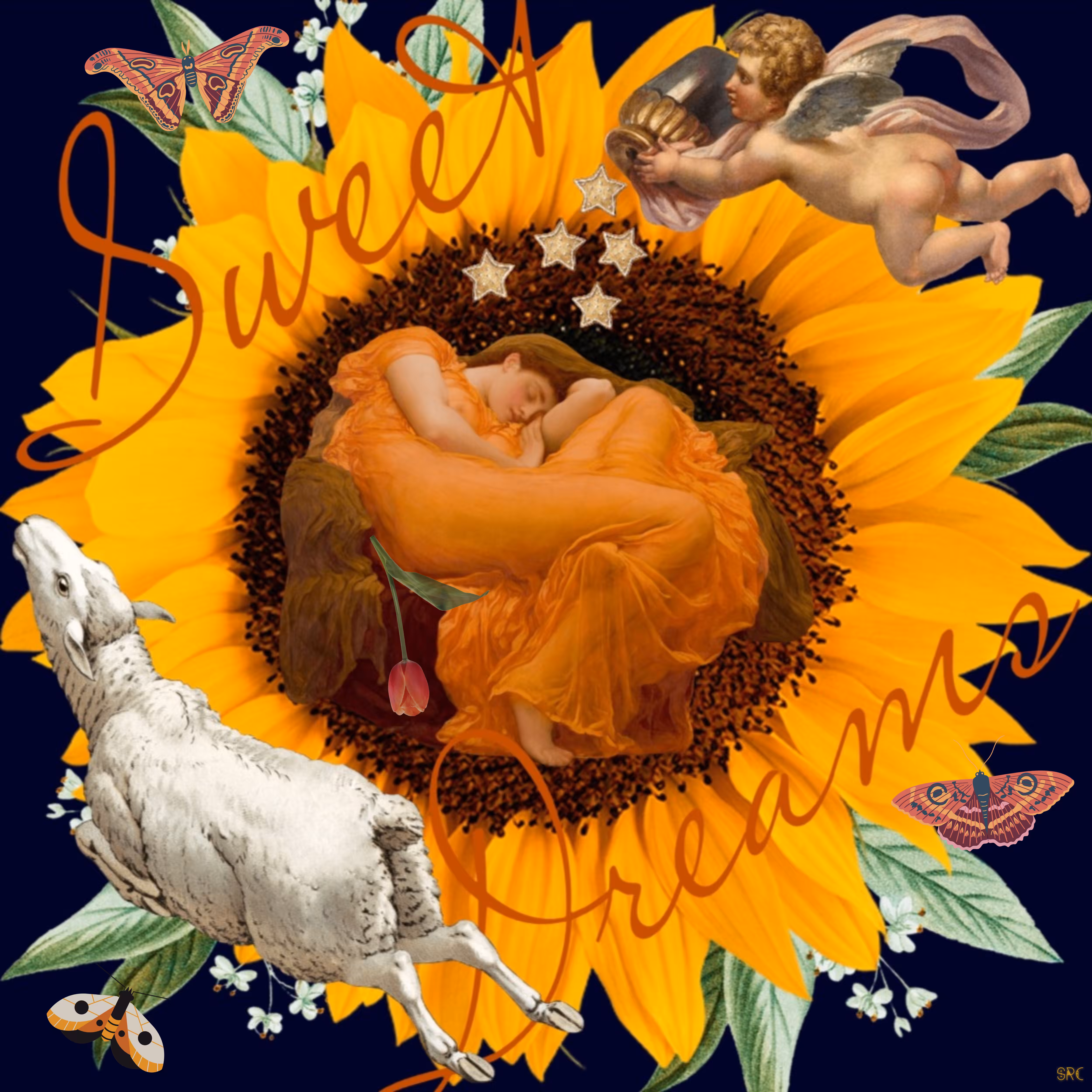 Sweet Dreams 