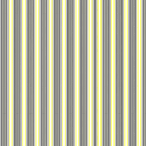kaprideoscope.gif: Demigender 4.0