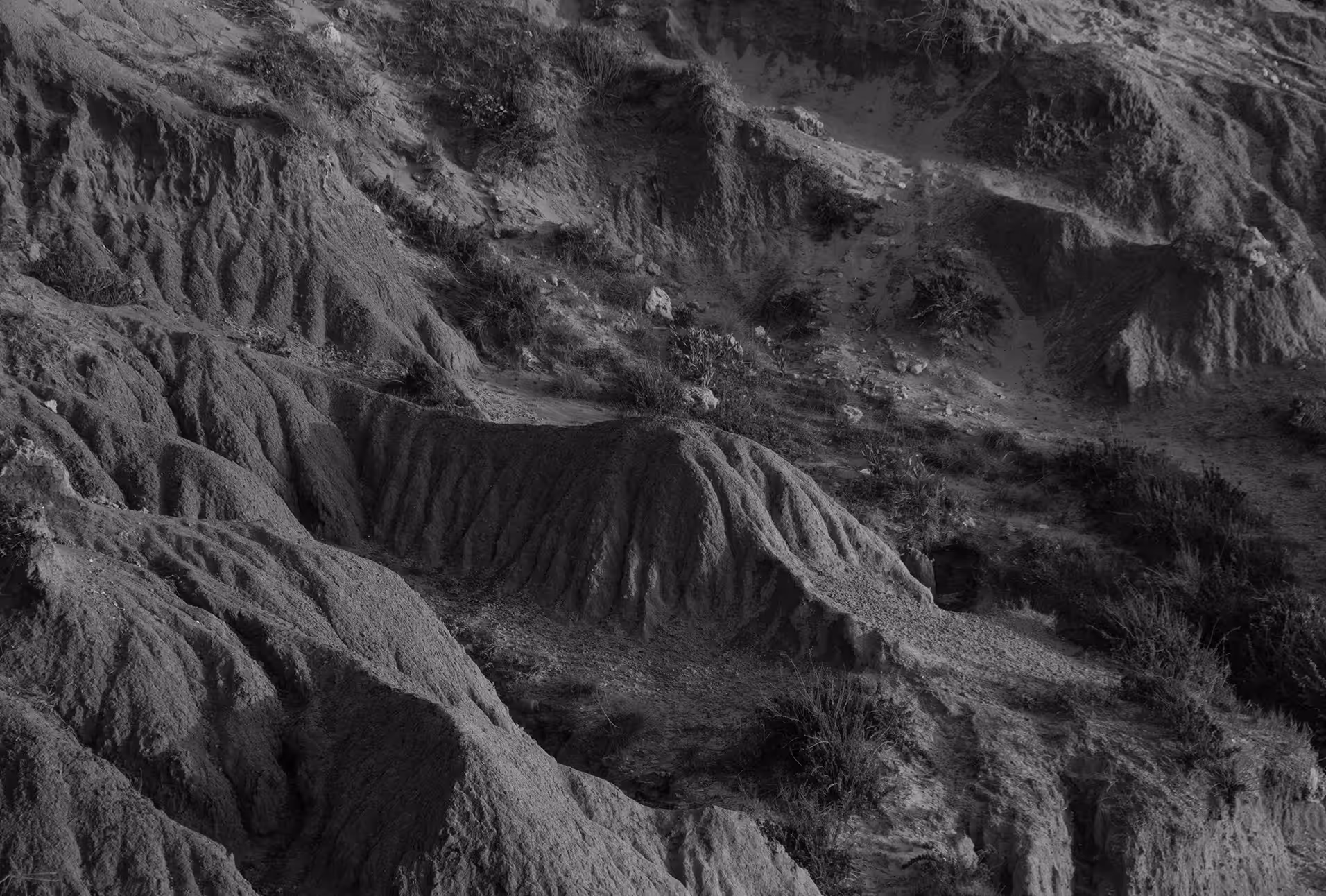 __SOIL