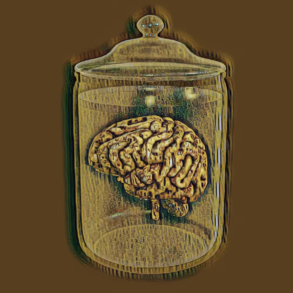 Mayan Brain
