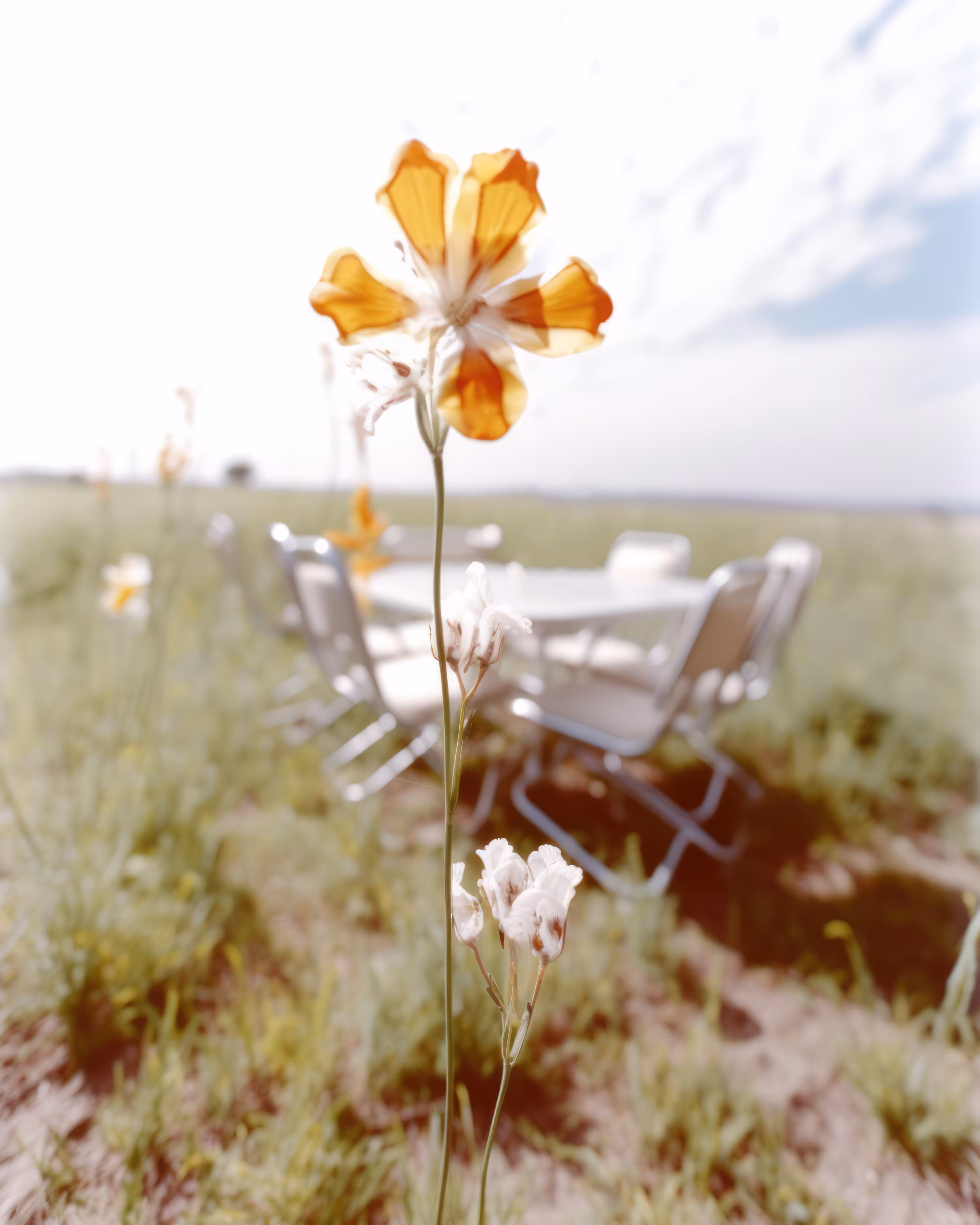 Summertime #29