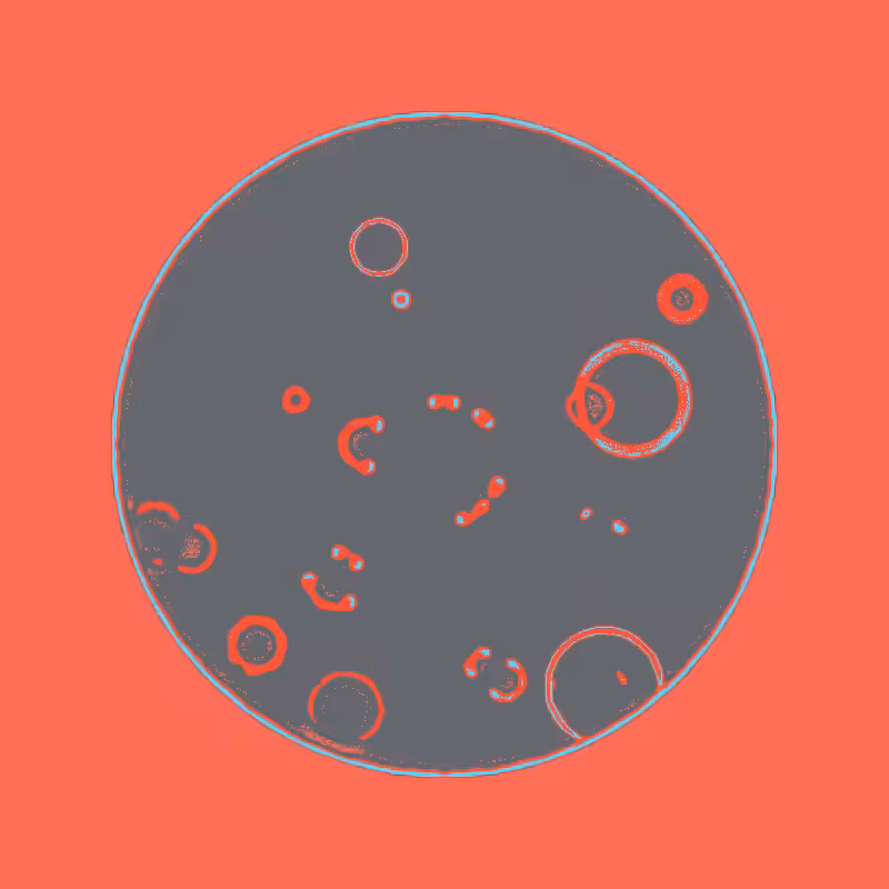 Cheap Petri Dish #18