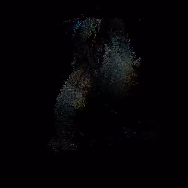 MINDSCAPE