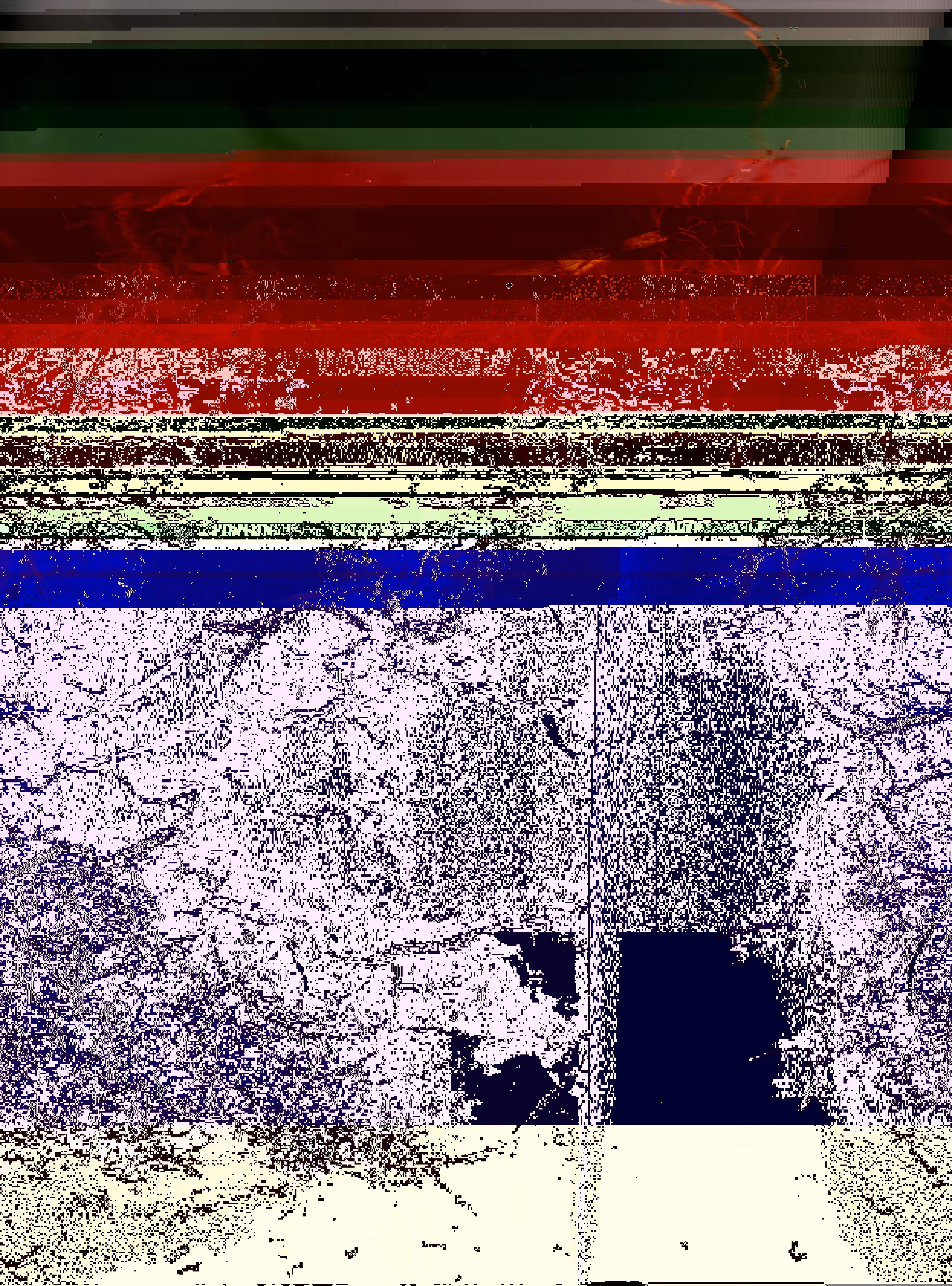 Blorgg Honklorph Malfonxia l[3]