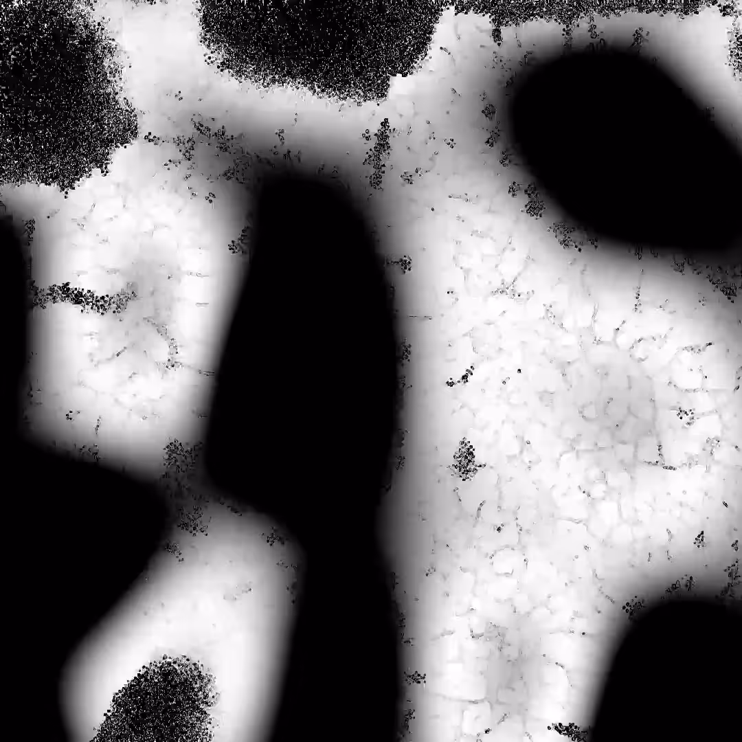 Cellule