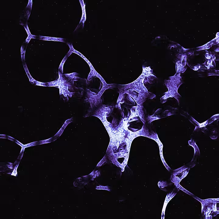 Neuron Network #003