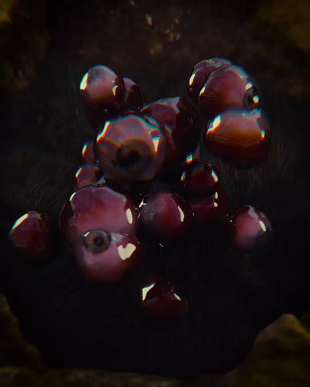 👁️E.S.M.🌎