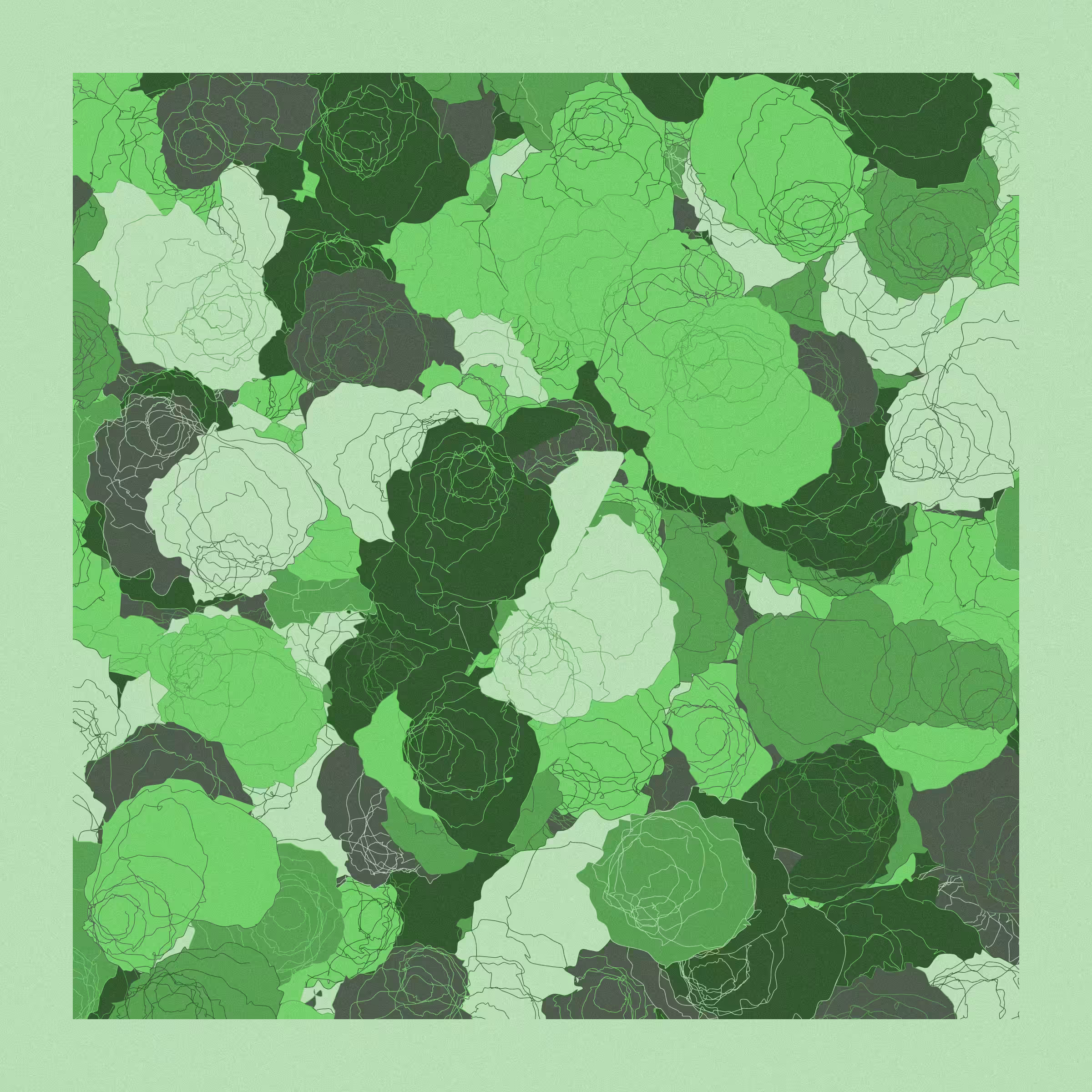 Roses #56
