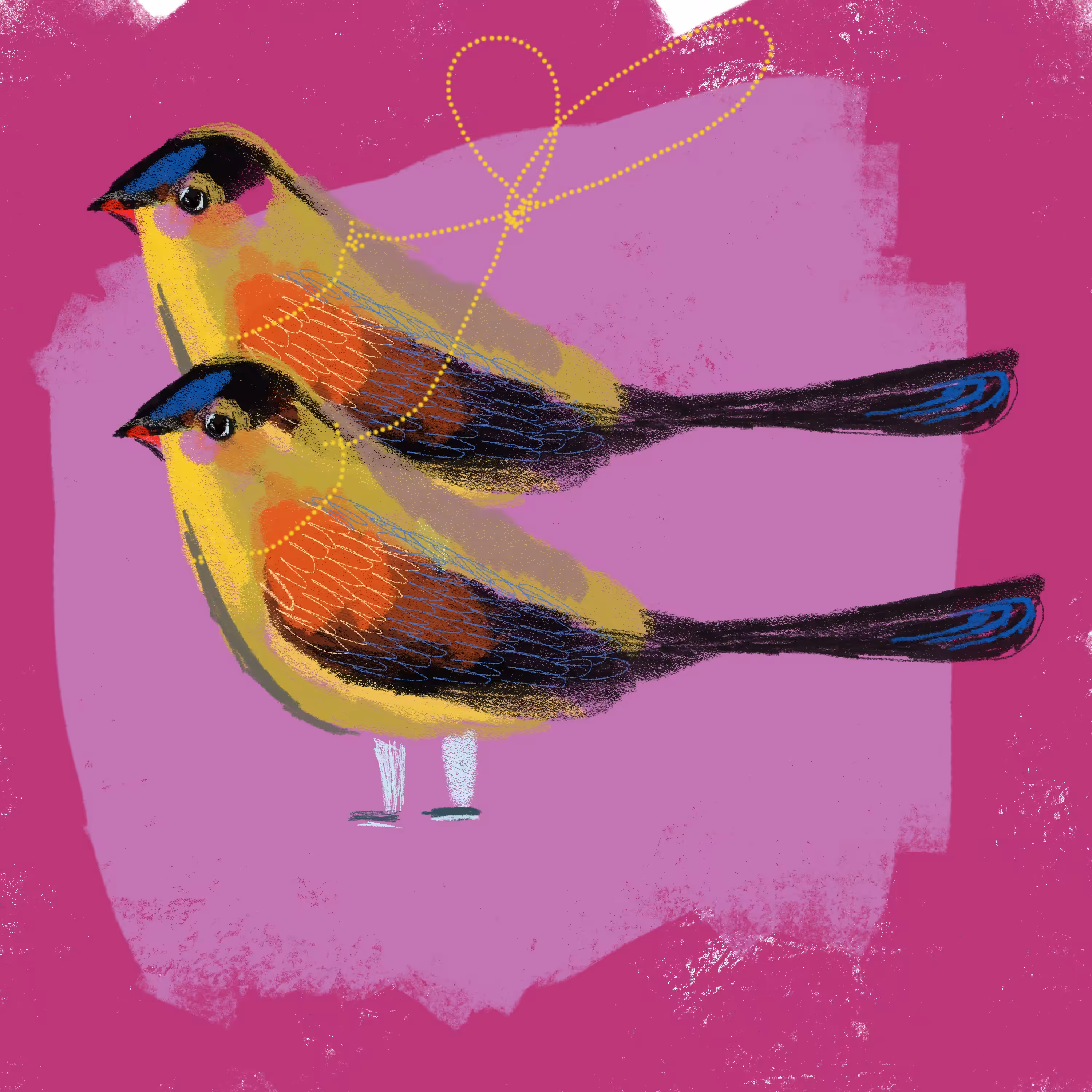 TWO BIRDS