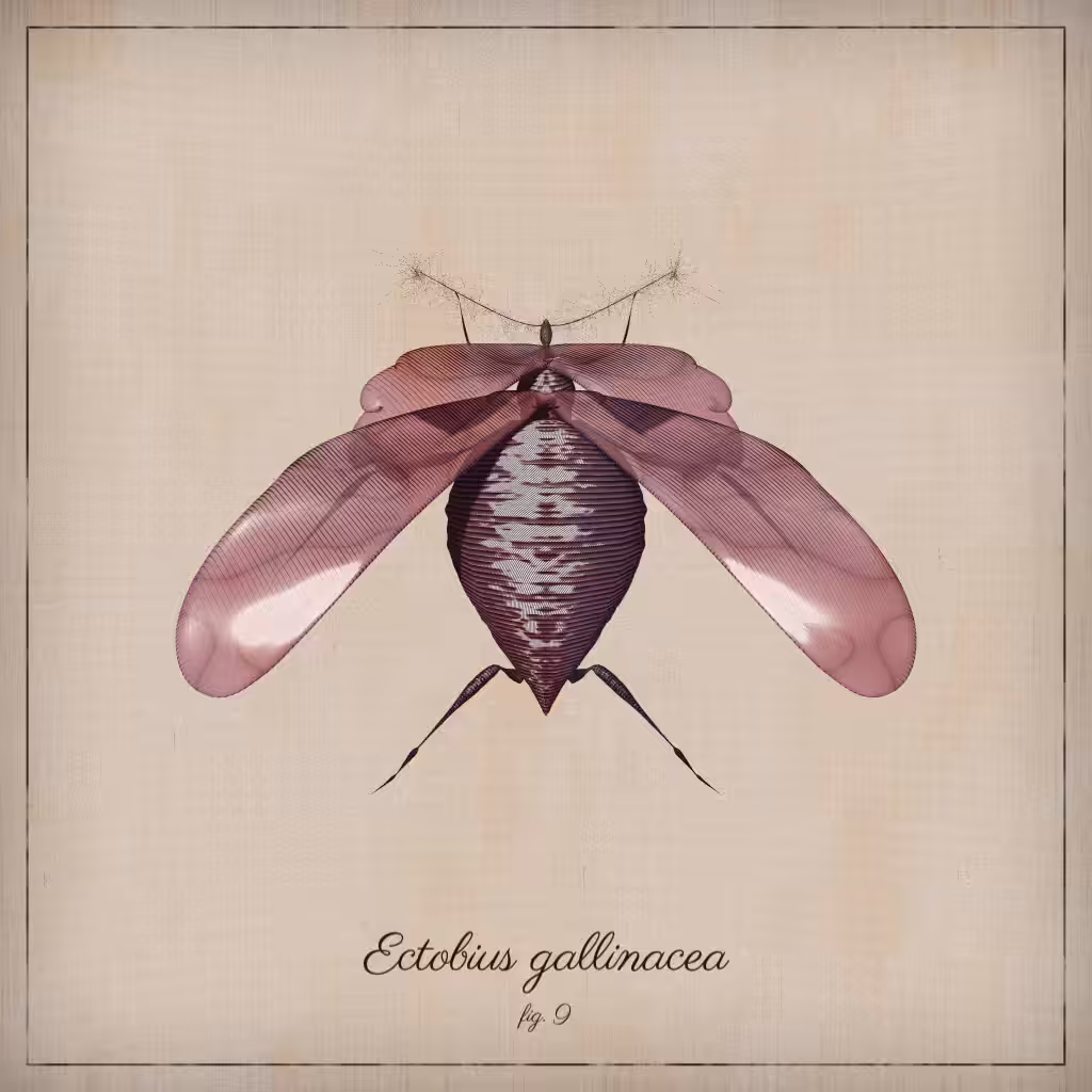ProcGen Entomology #331