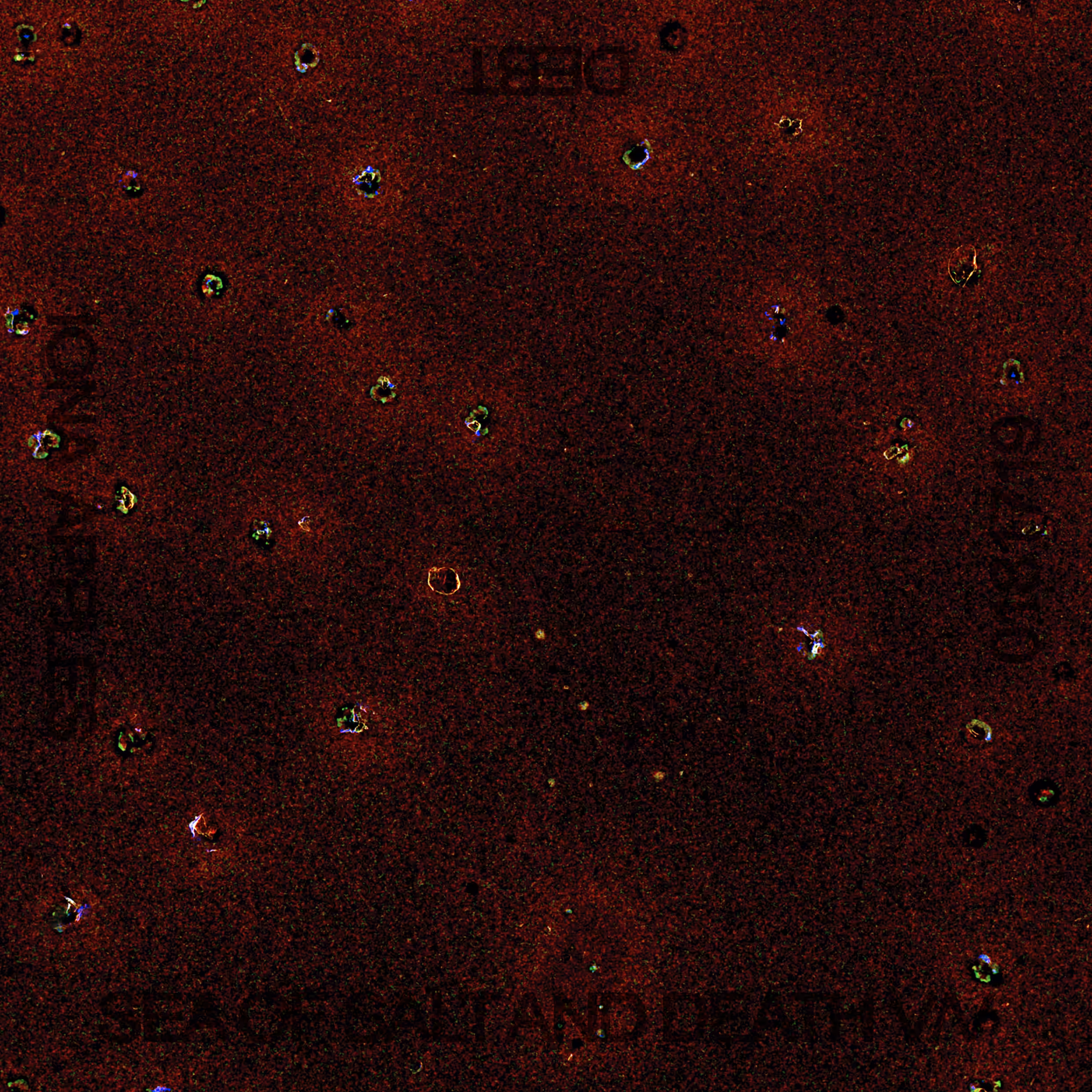 SEA OF SALT AND DEATH // No.18