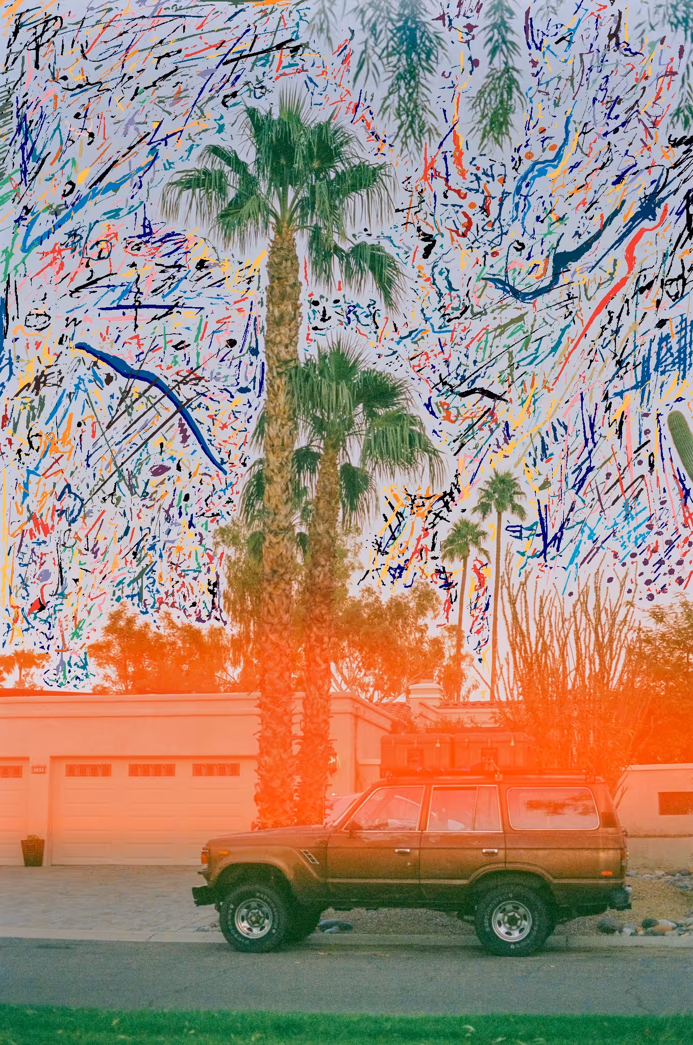 Palm Tree