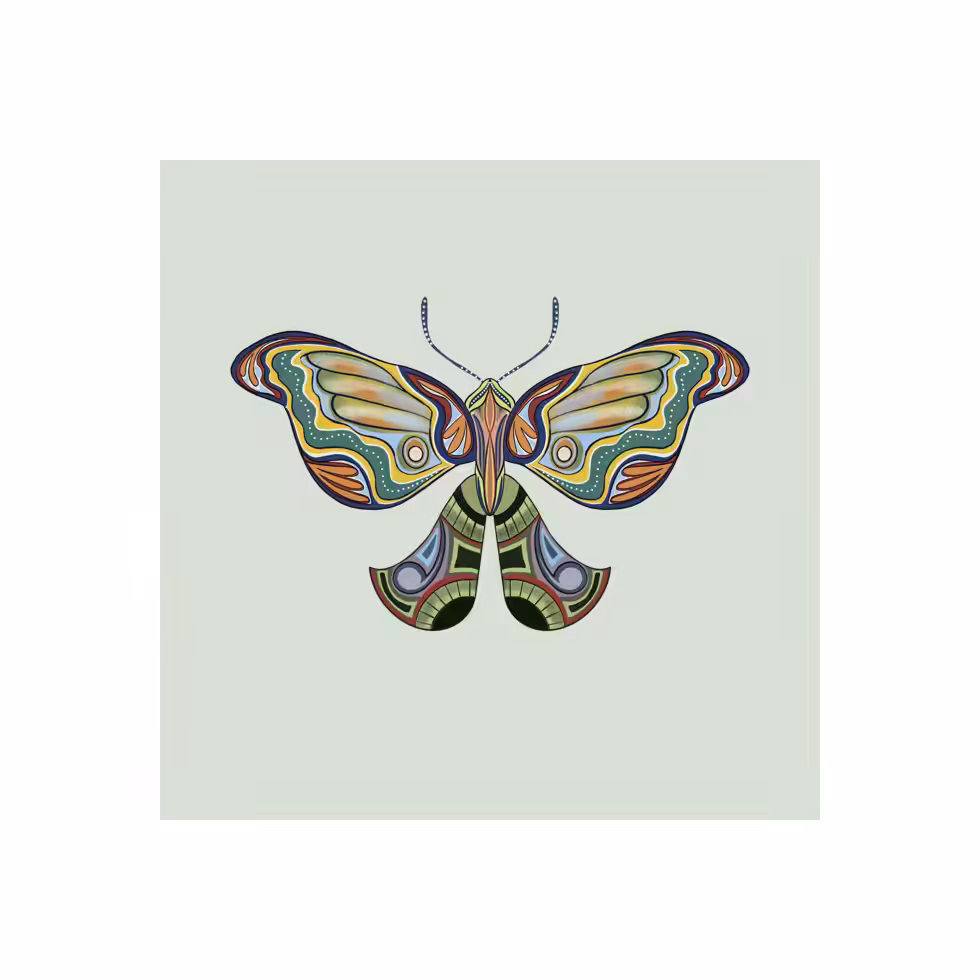 The Moth Experiment  #15