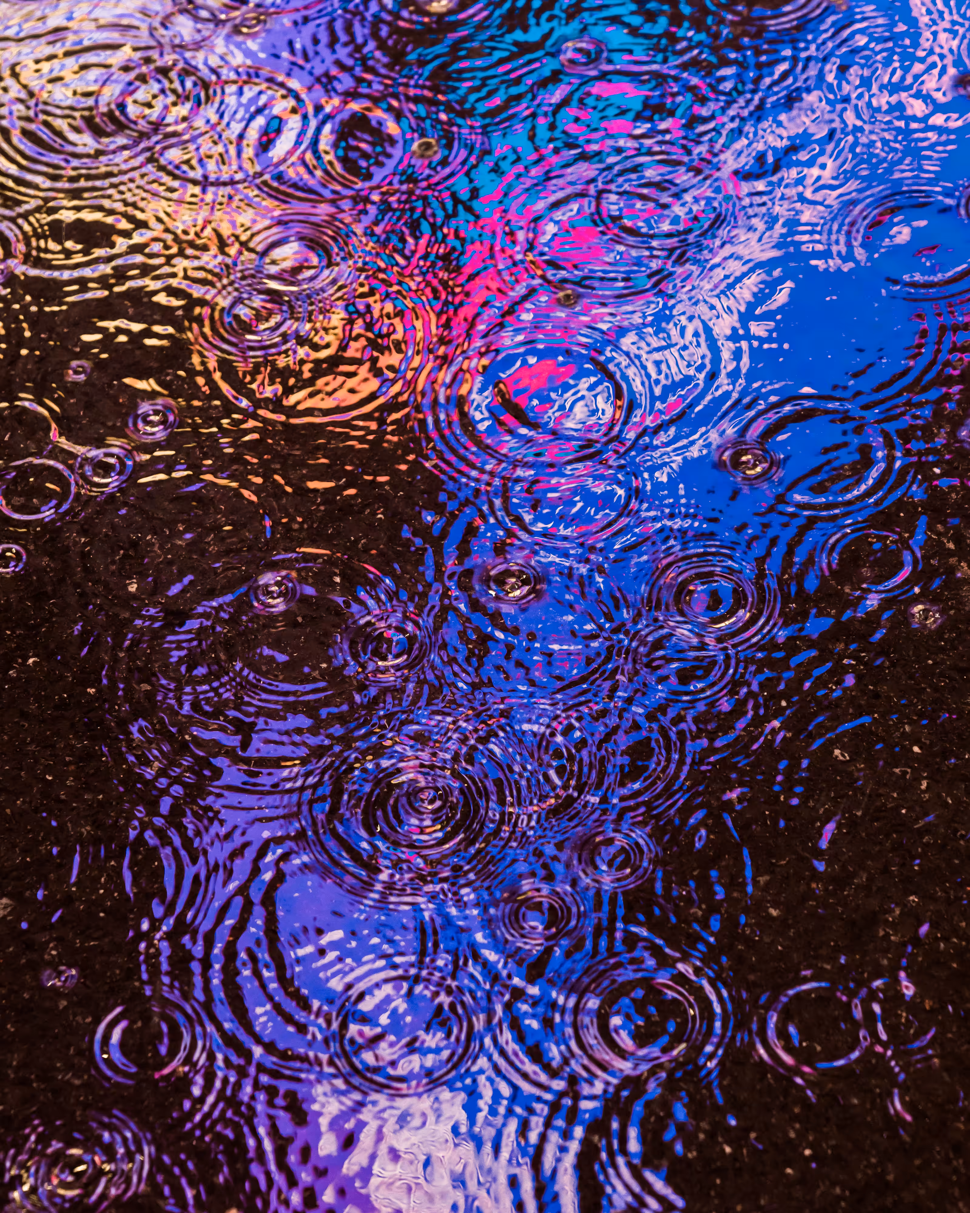 DRIP DROP: DRIP #435
