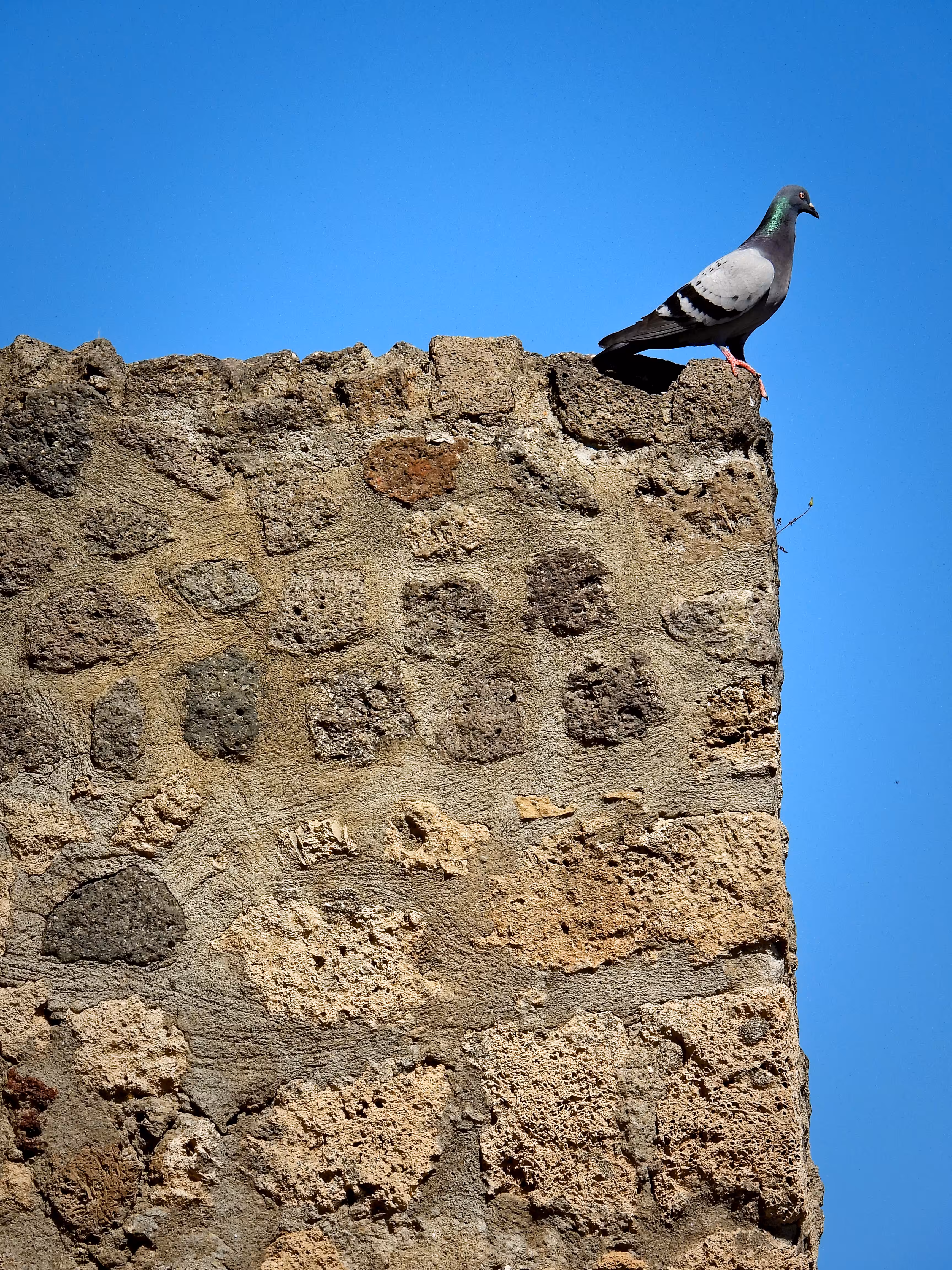 Tom Flender Photo Collection 2024 to 2026: Ruins of Pompeii