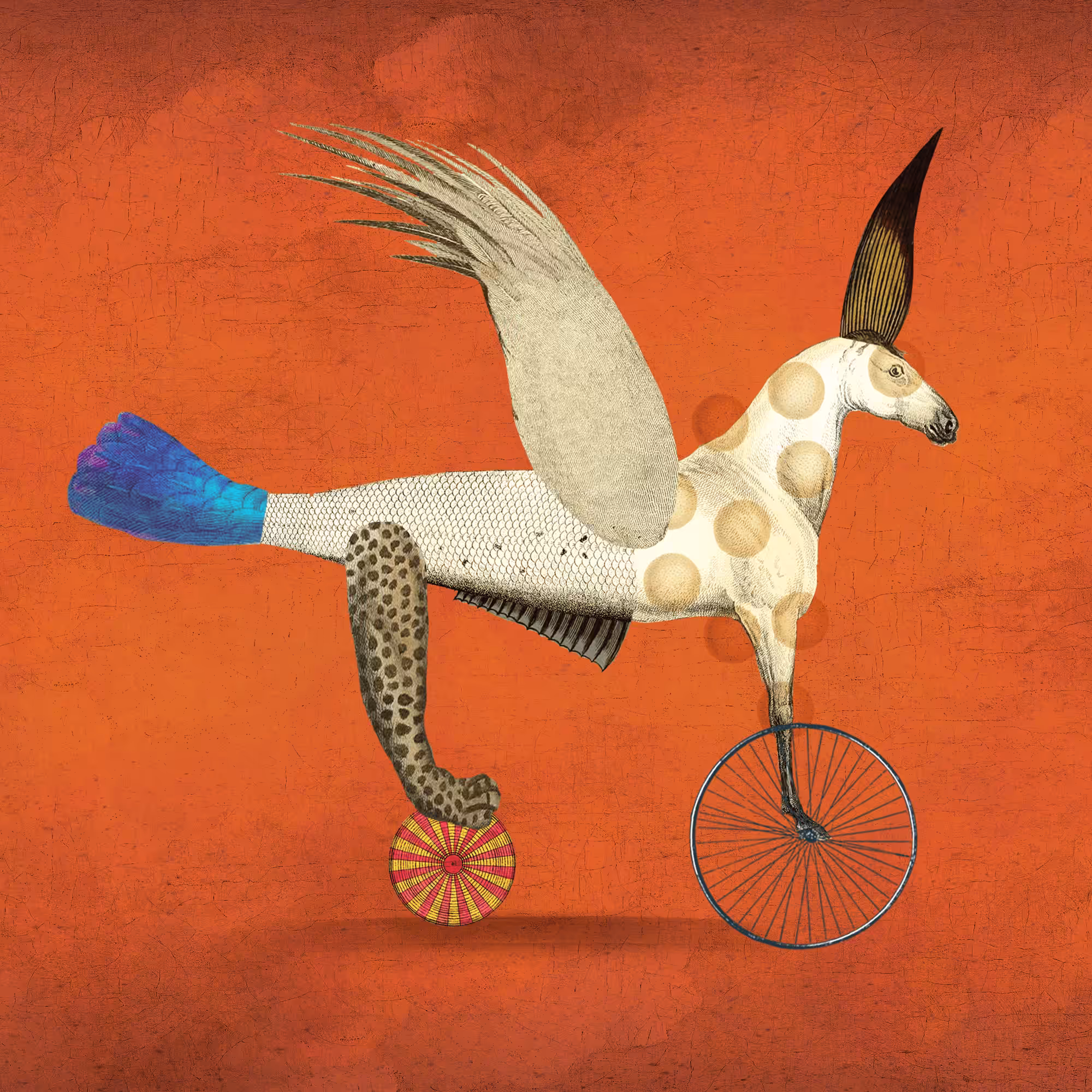 Impossible Creature #166