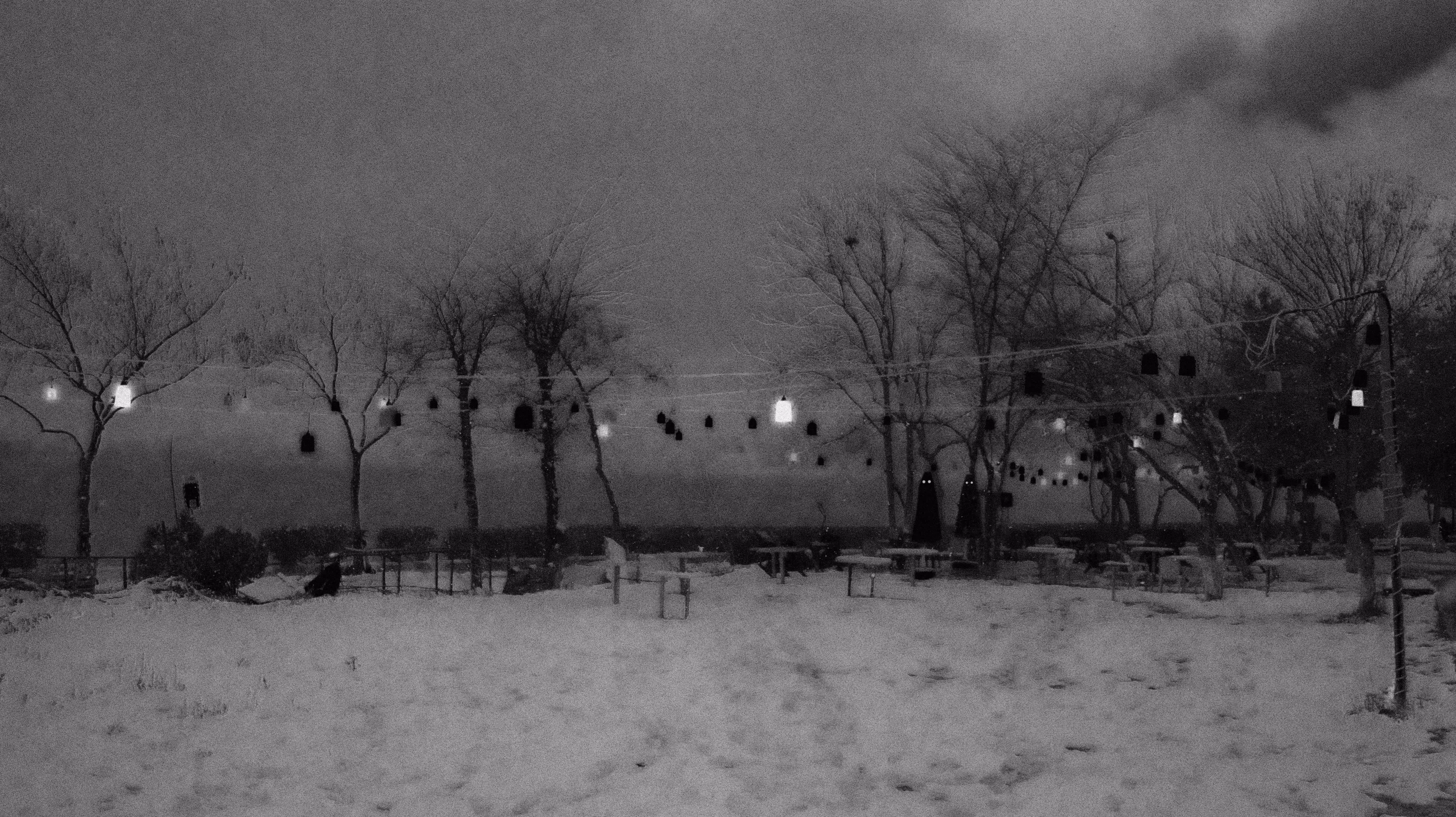 Night Light