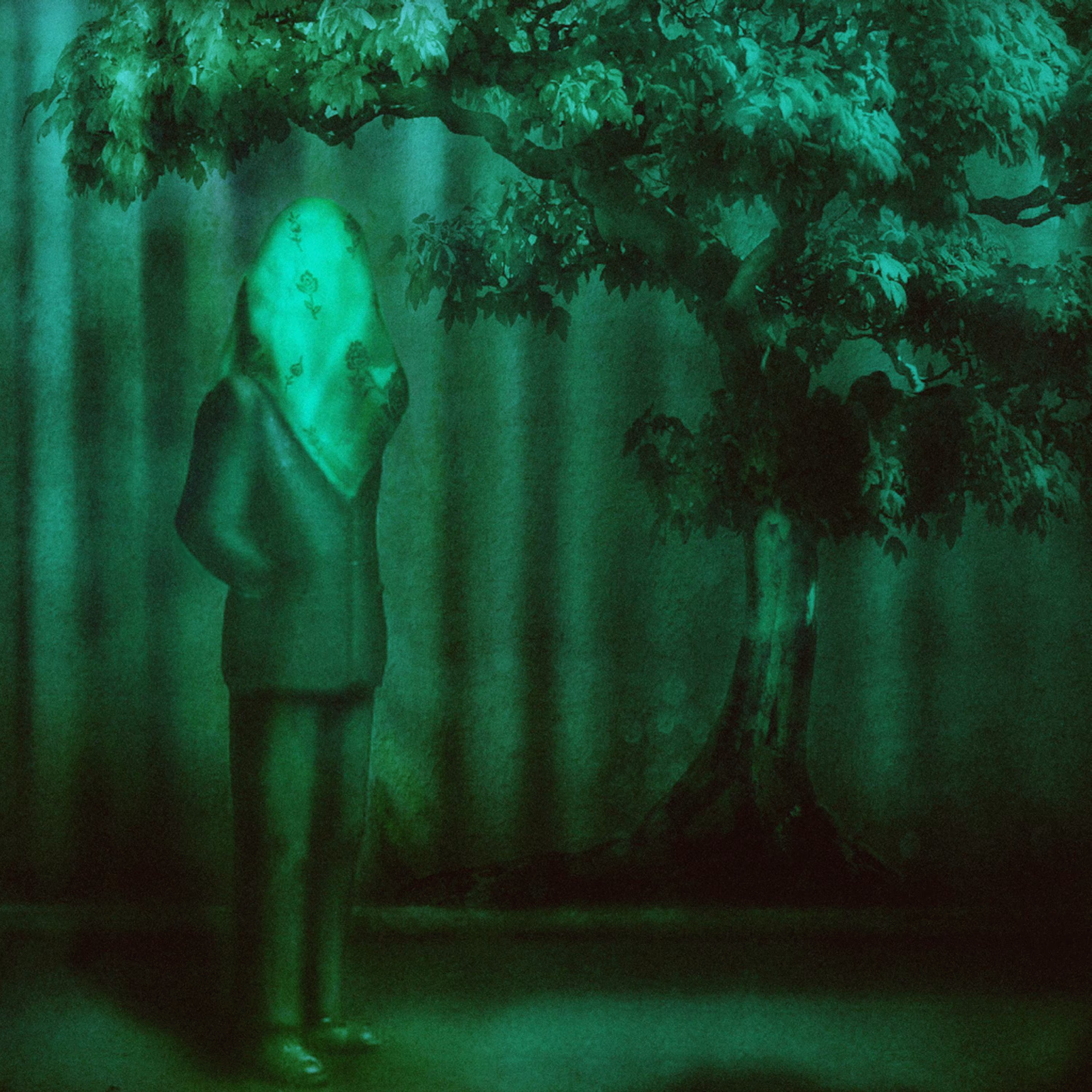 Untitled or The Outsider 5 | From Darshan Serie